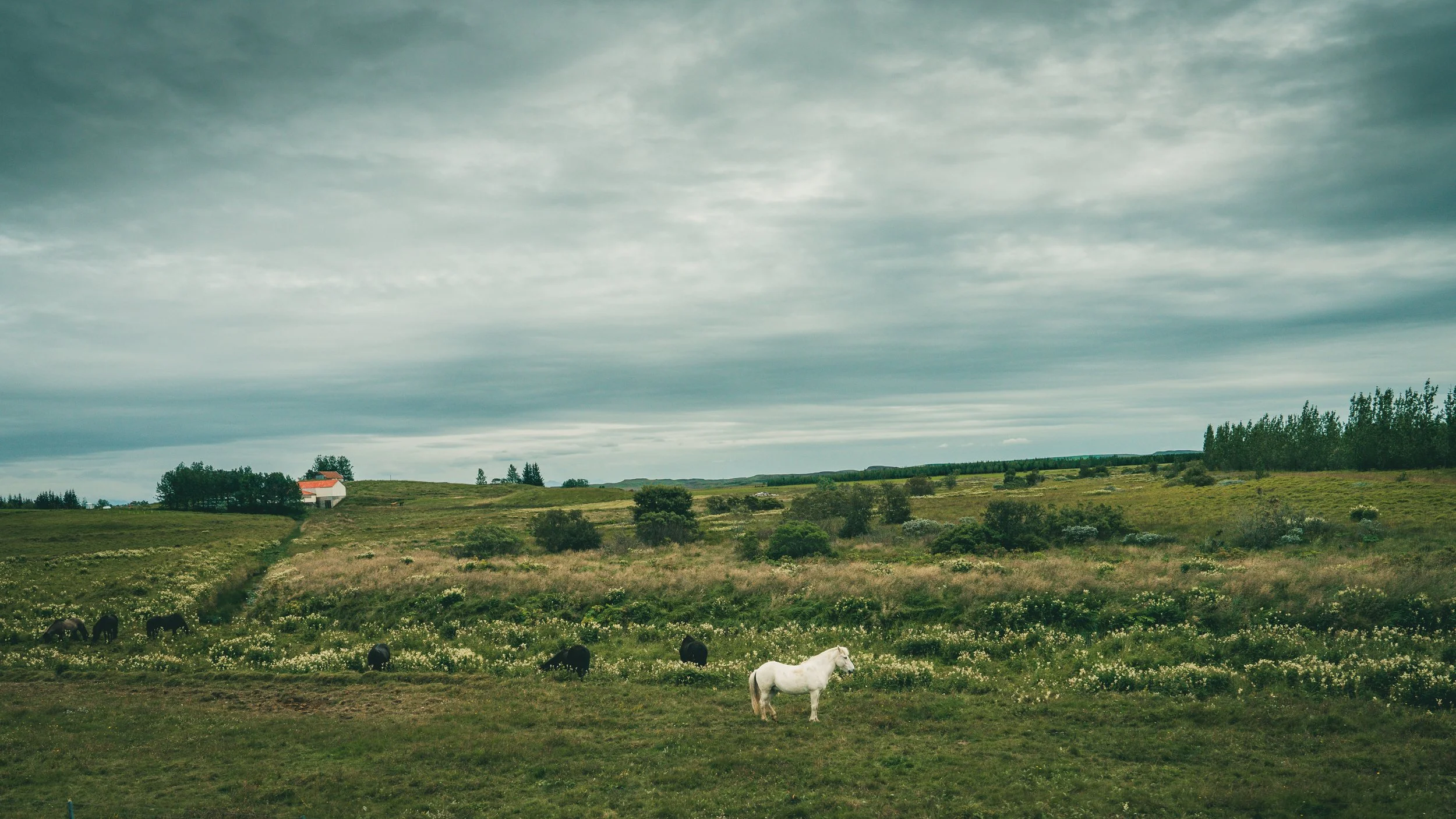 R5_07002_D6-8-11_Route26-small.jpg