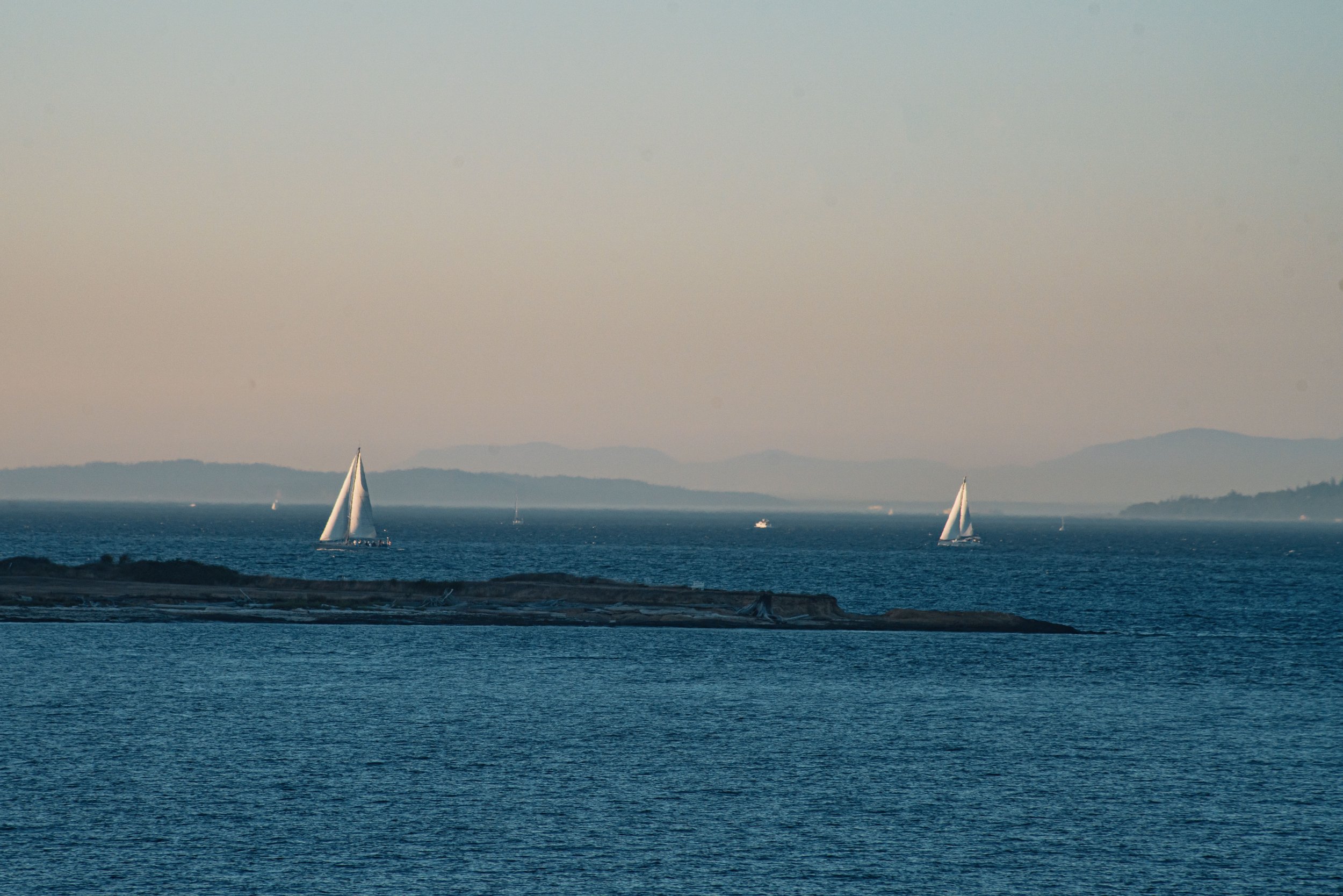 DSC03778.jpg