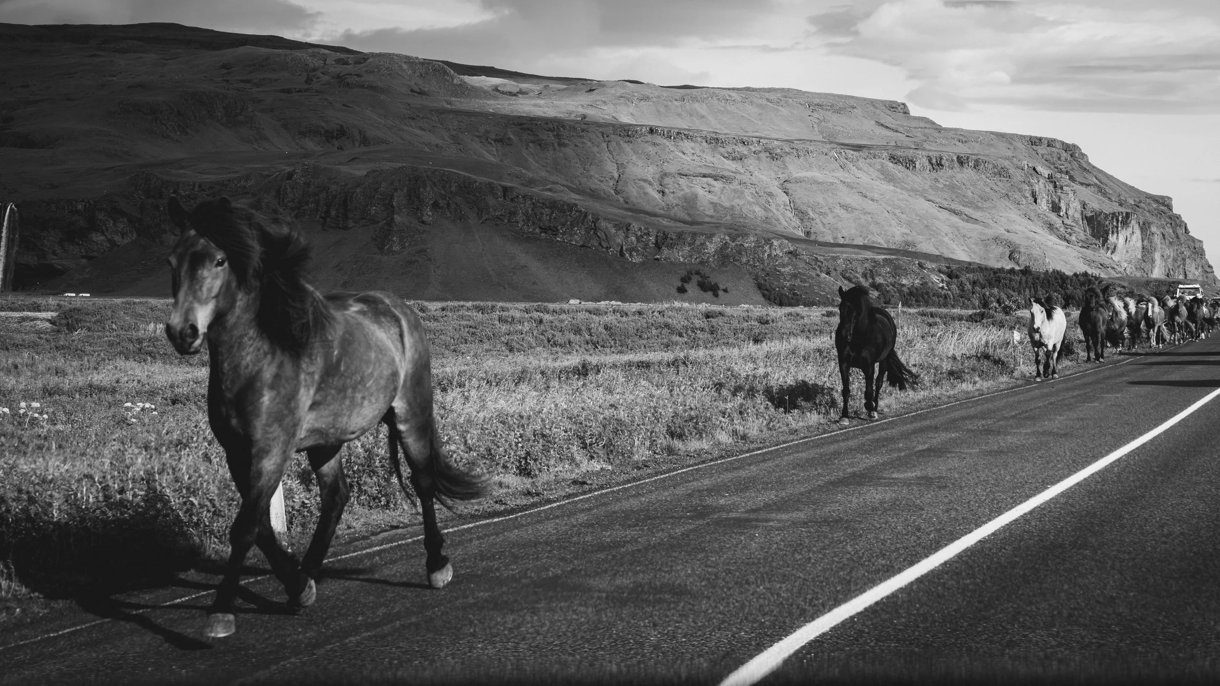 R5_05378_BW_D3-8-8_Route1_Seljalandsfoss-small.jpg