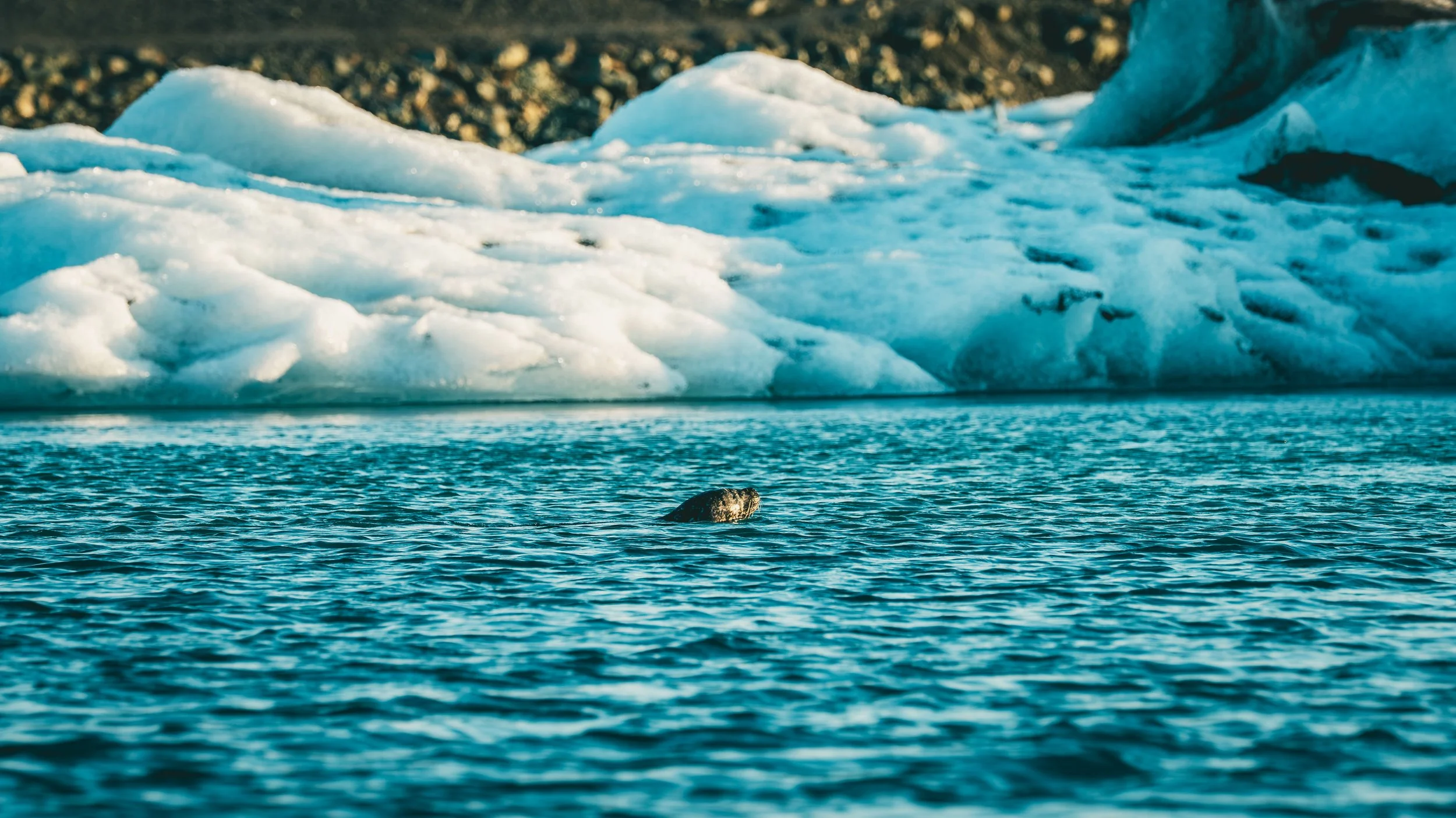 R5_06520_D5-8-10_JökulsárlónGlacierLagoon-small.jpg
