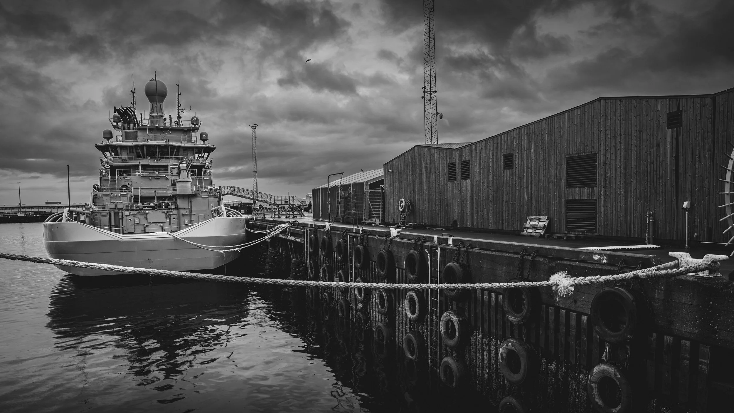 R5_04933v2_BW_D2-8-7_ Reykjavík-small.jpg