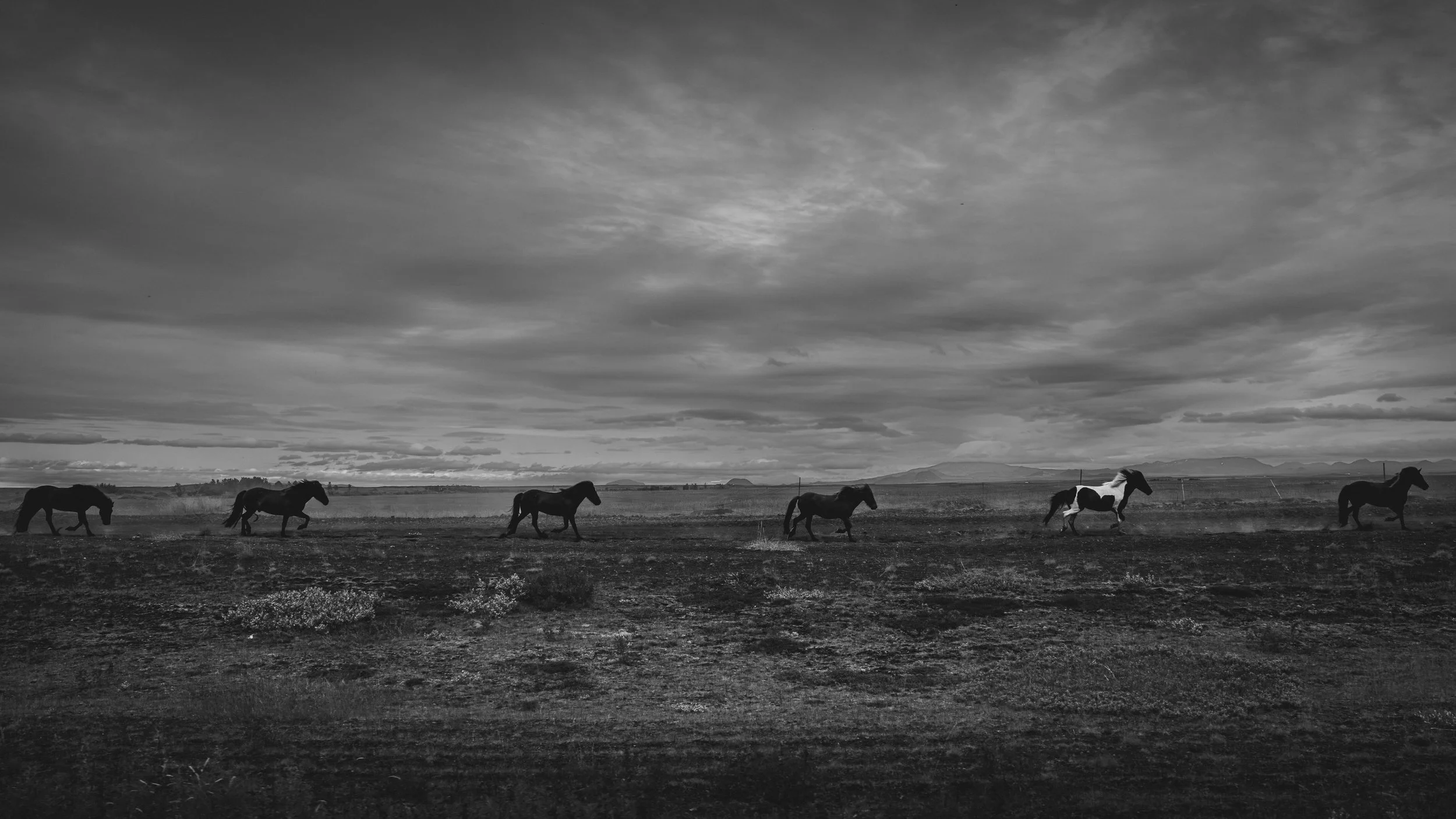 R5_06994_BW_D6-8-11_Route26-small.jpg