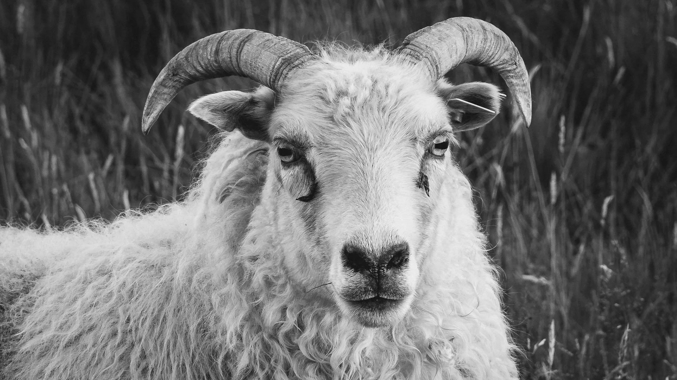 R5_06556_BW_D5-8-10_Route1-small.jpg
