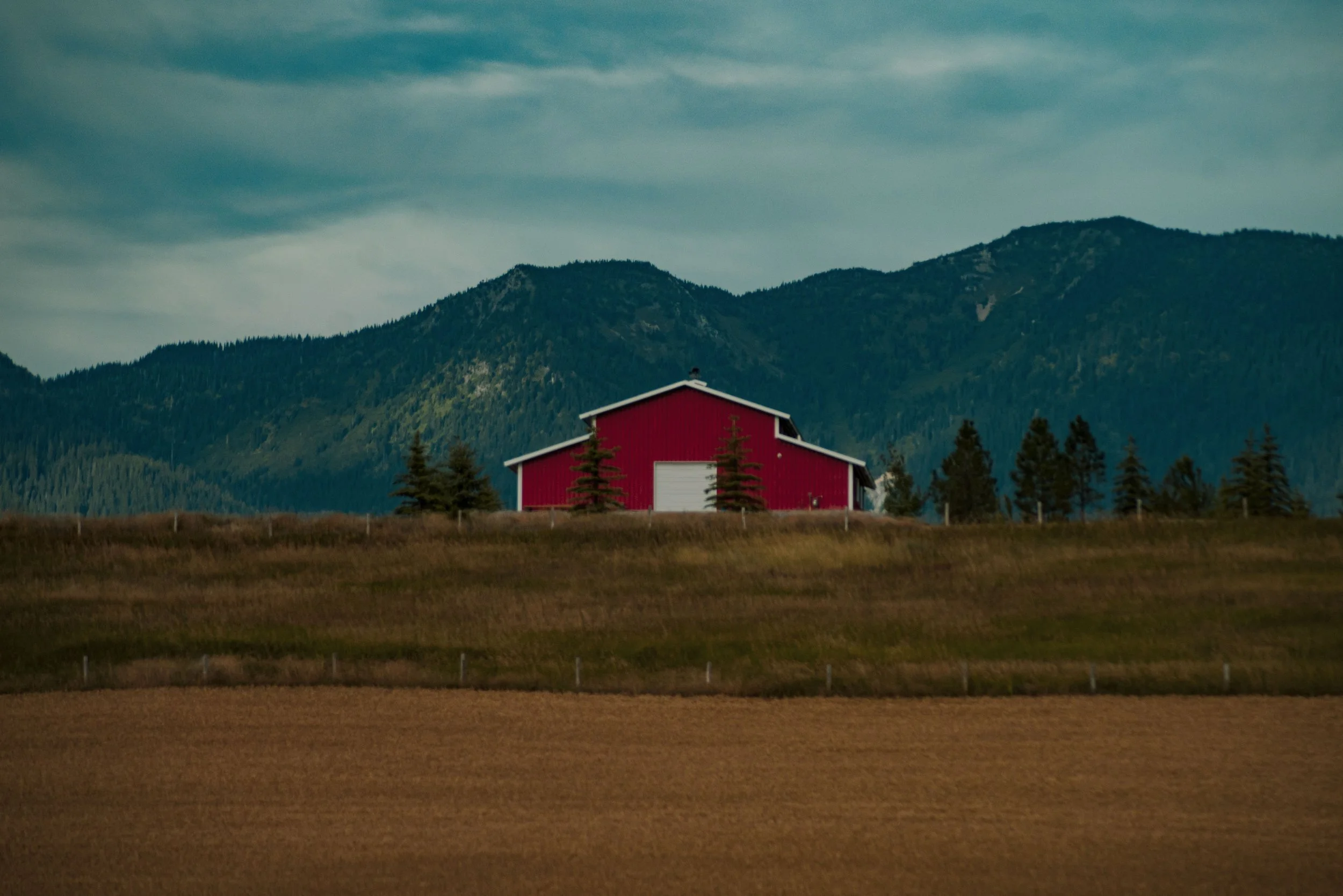 DSC04306.jpg