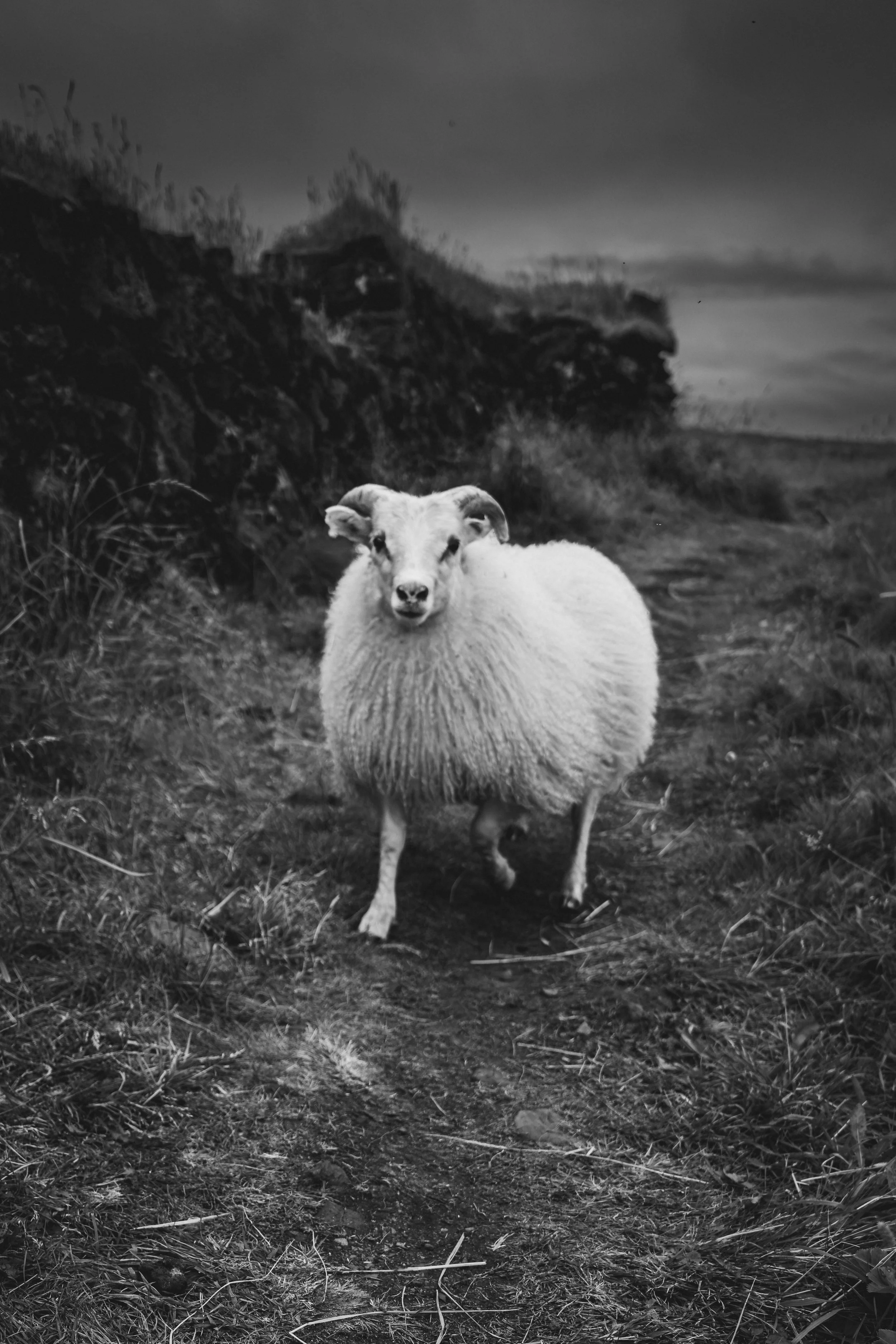 R5_07516_BW_D7-8-12_Búðakirkja-small.jpg