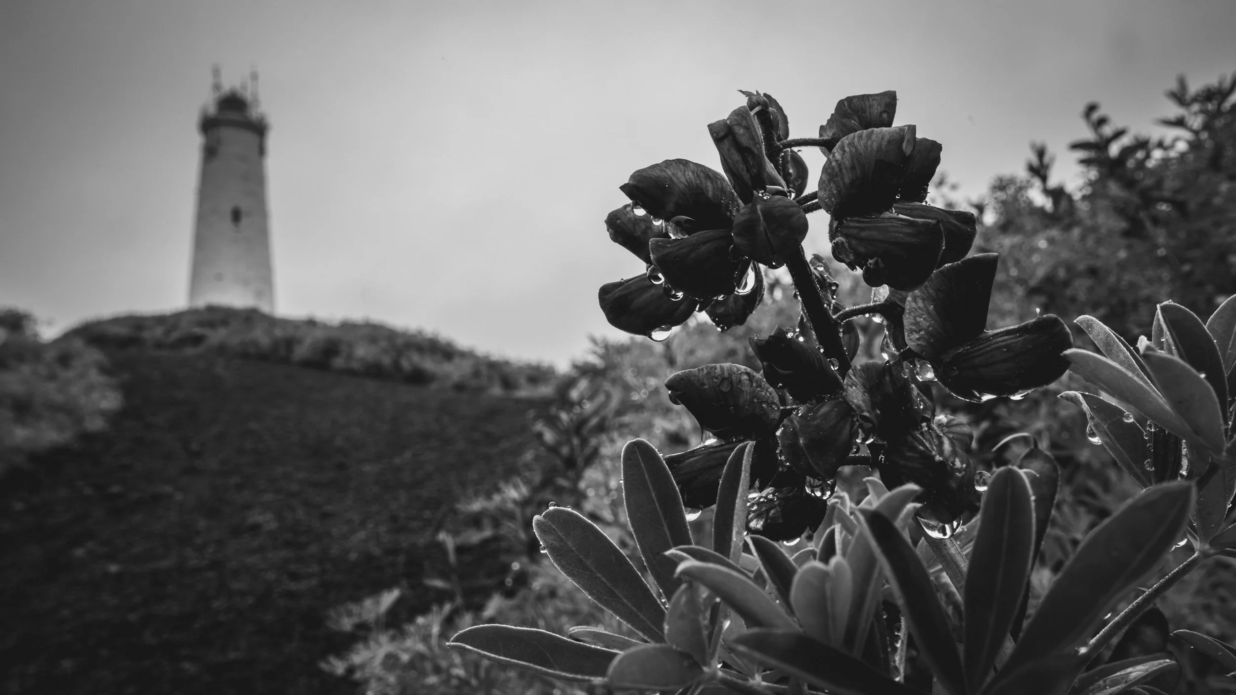 R5_04788_BW_D1-8-6_Reykjanes_Lighthouse-small.jpg