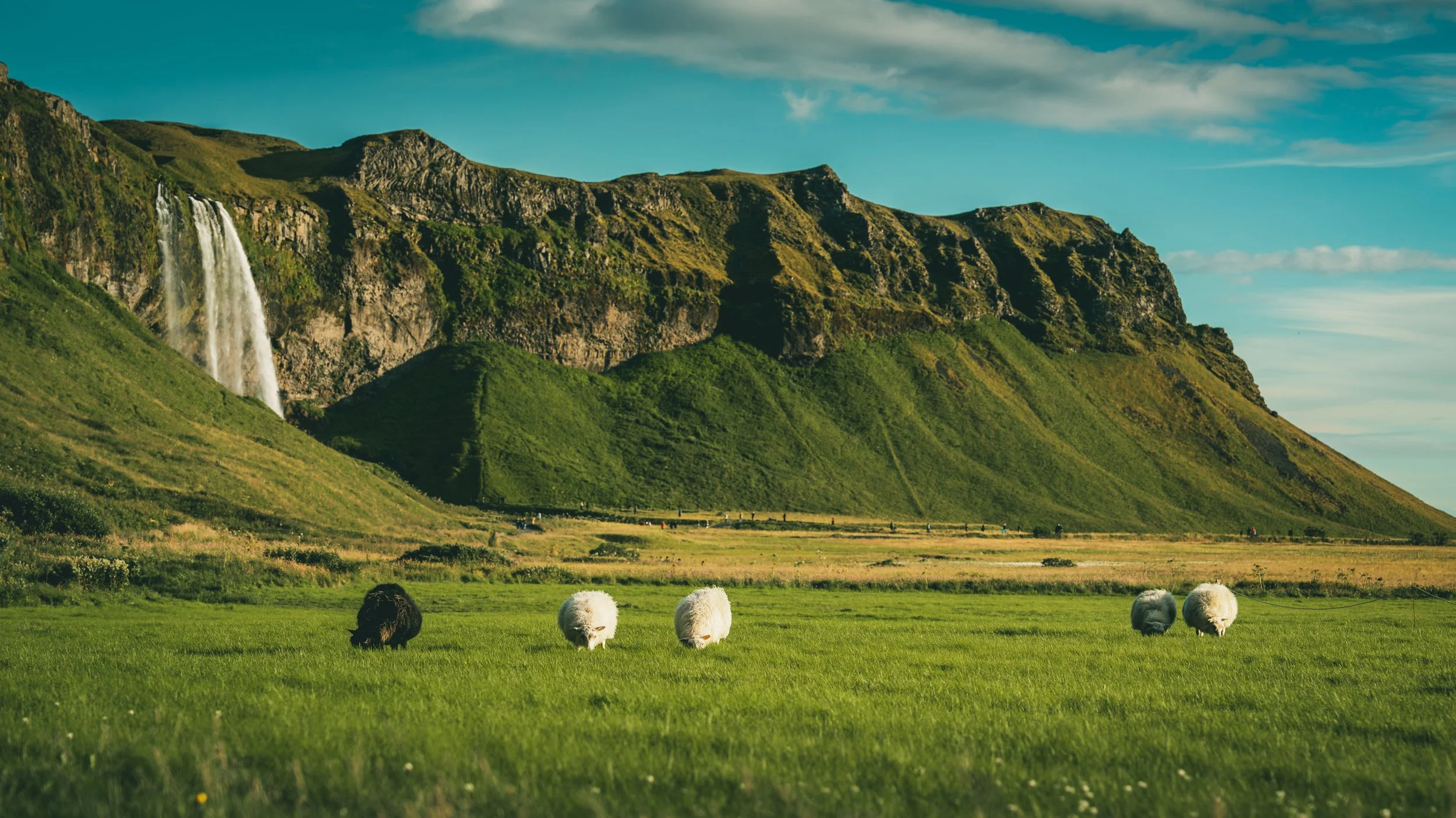 R5_05432_D3-8-8_Route1_Seljalandsfoss-small.jpg