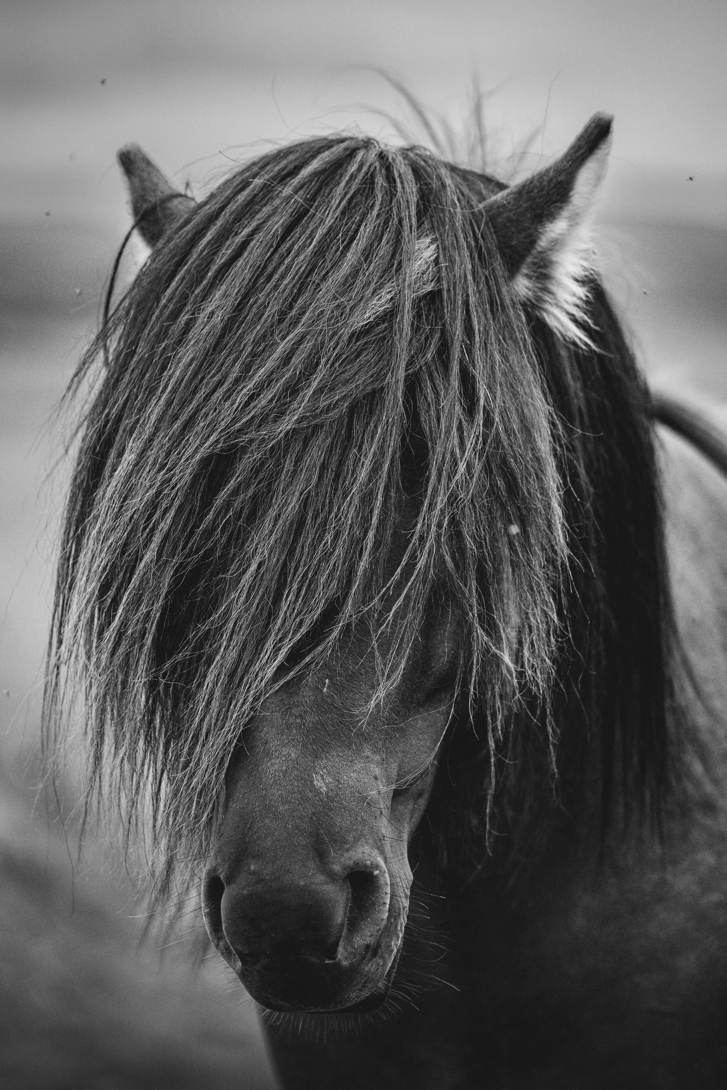 R5_06952_BW_D6-8-11_Route26-small.jpg