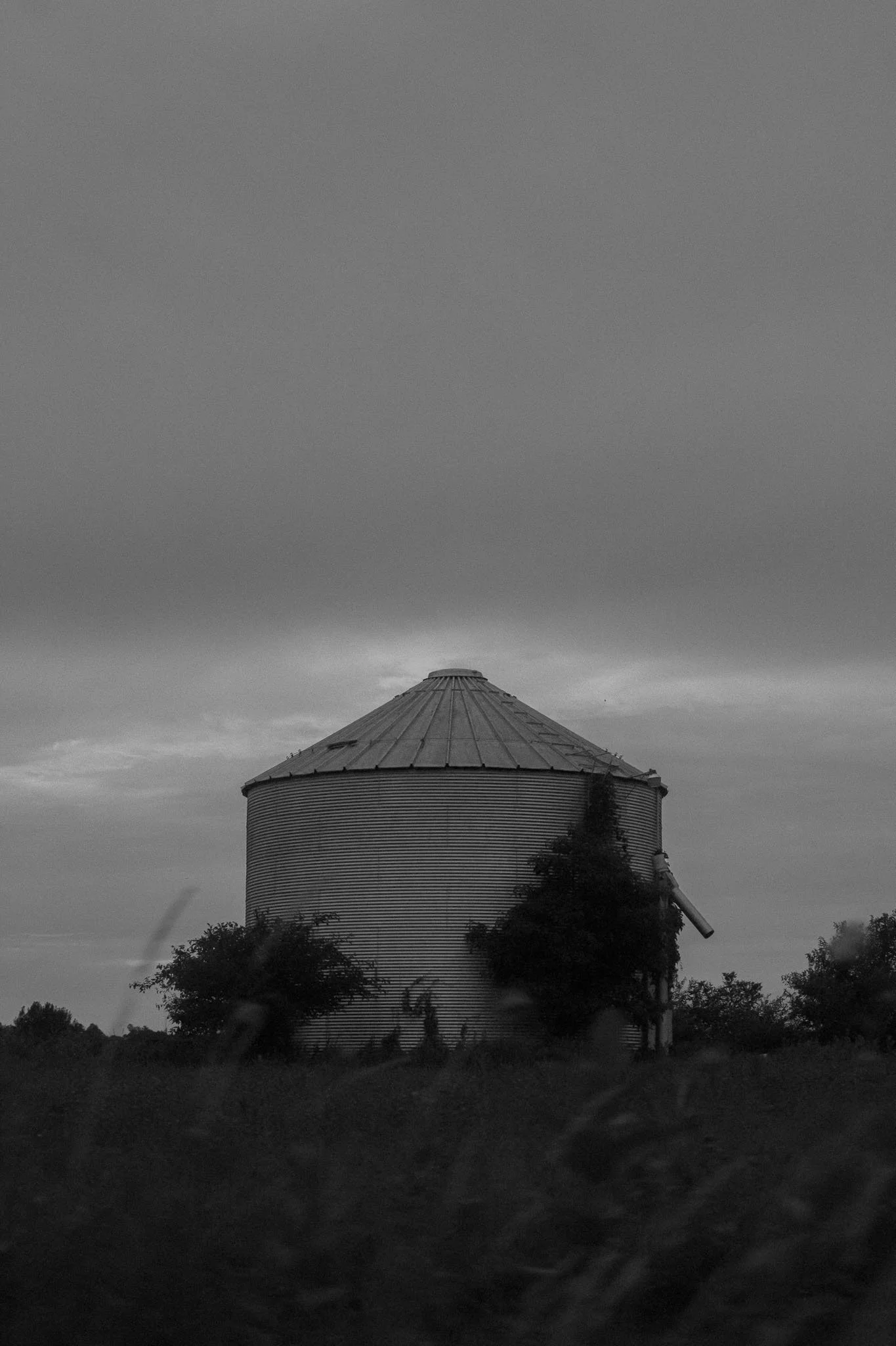 R5_04131.jpg