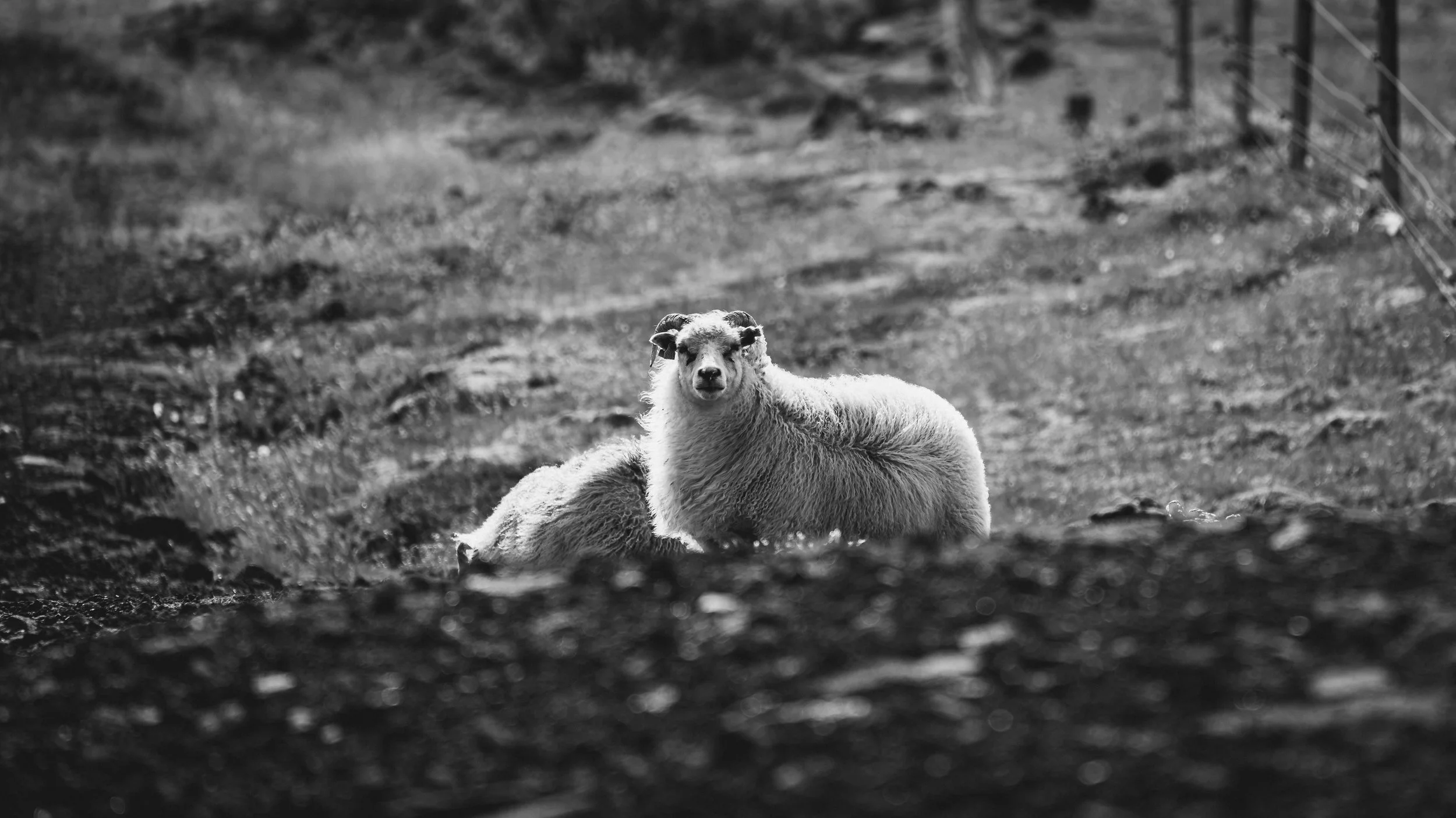 R5_05213_BW_D3-8-8_Route42-small.jpg