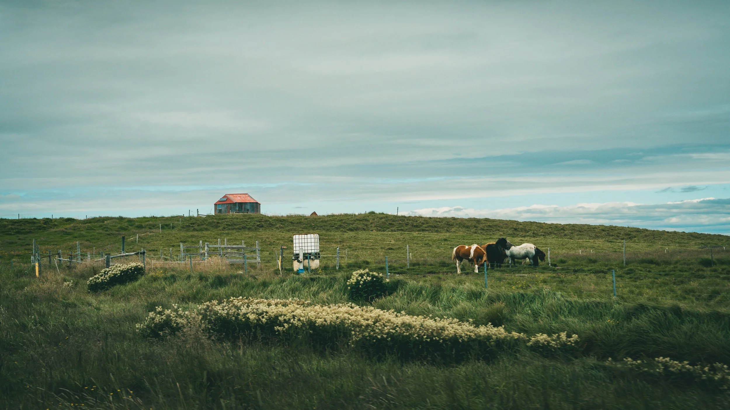 R5_06999_D6-8-11_Route26-small.jpg