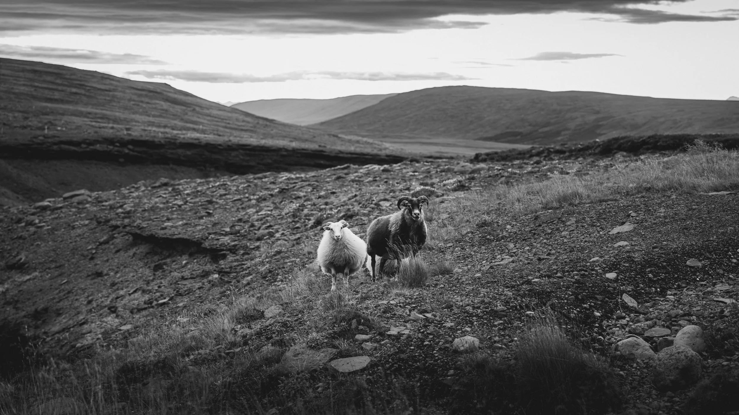 R5_07228_BW_D6-8-11_Route52-small.jpg