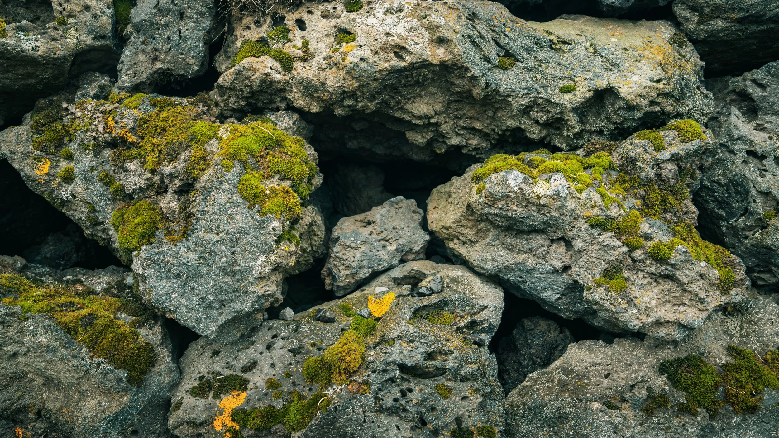 R5_07600_D7-8-12_Búðakirkja-small.jpg