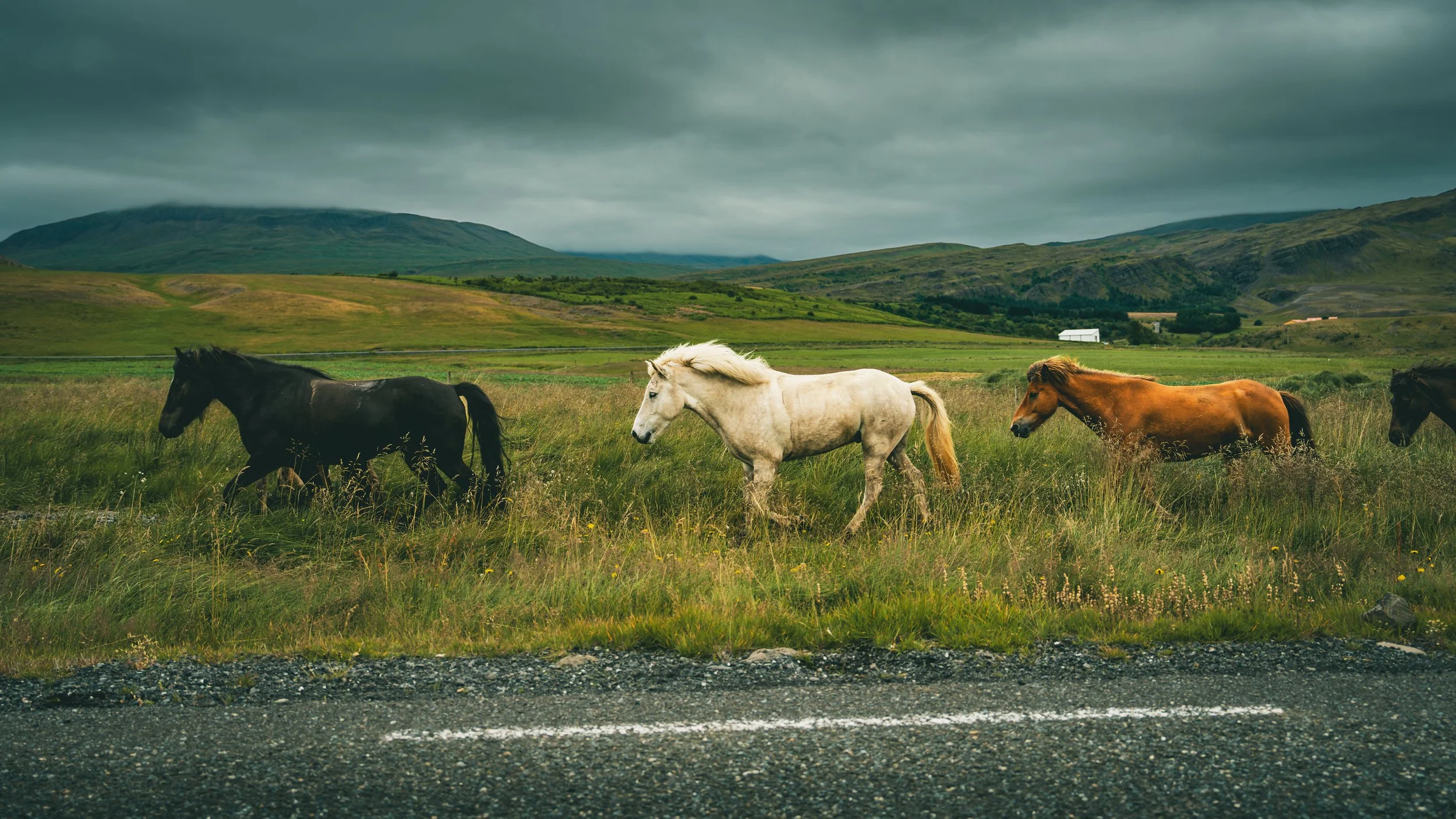 R5_08008_D8-8-13_Route508-small.jpg