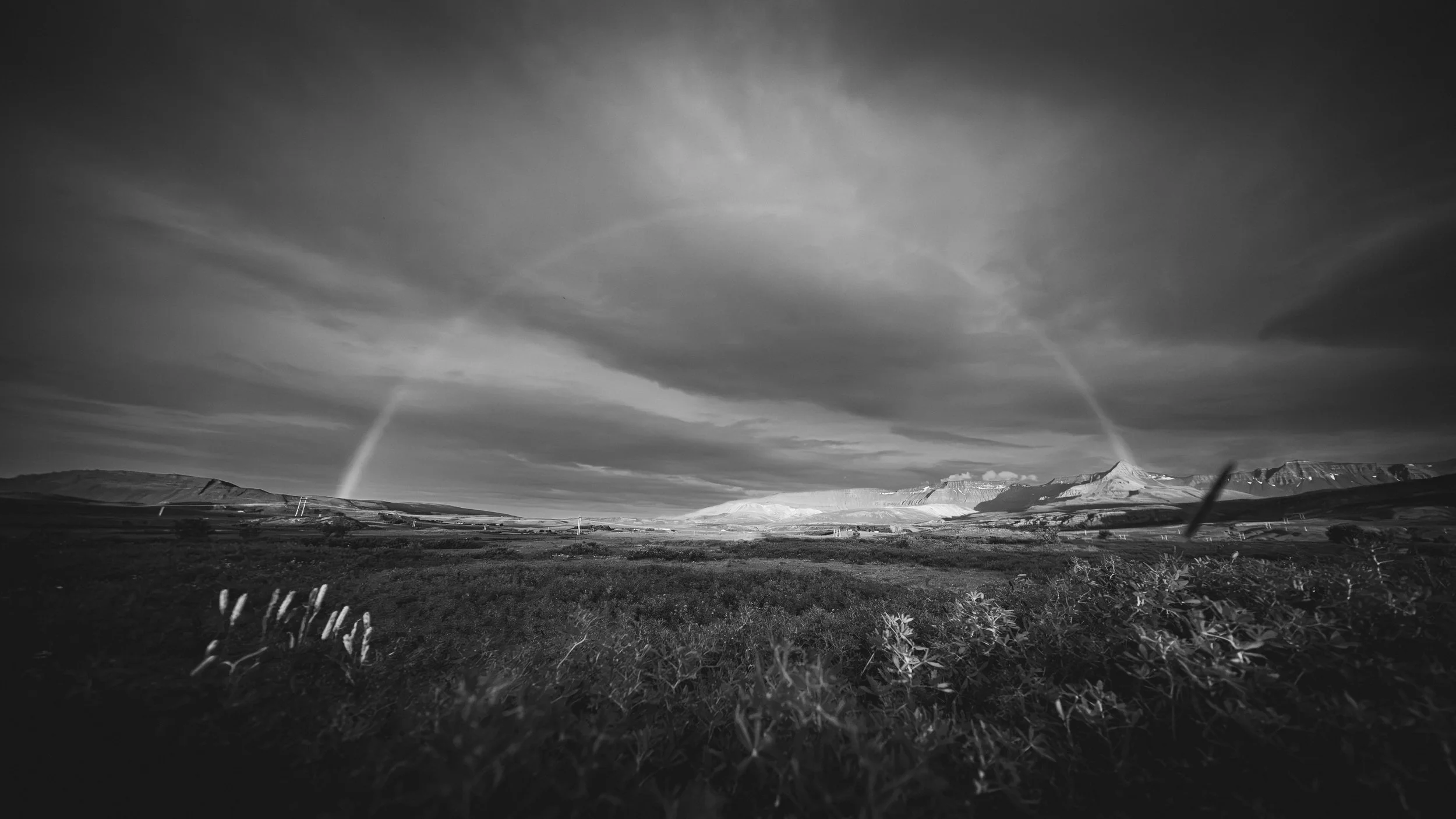 R5_07402_BW_D6-8-11_Route50-small.jpg