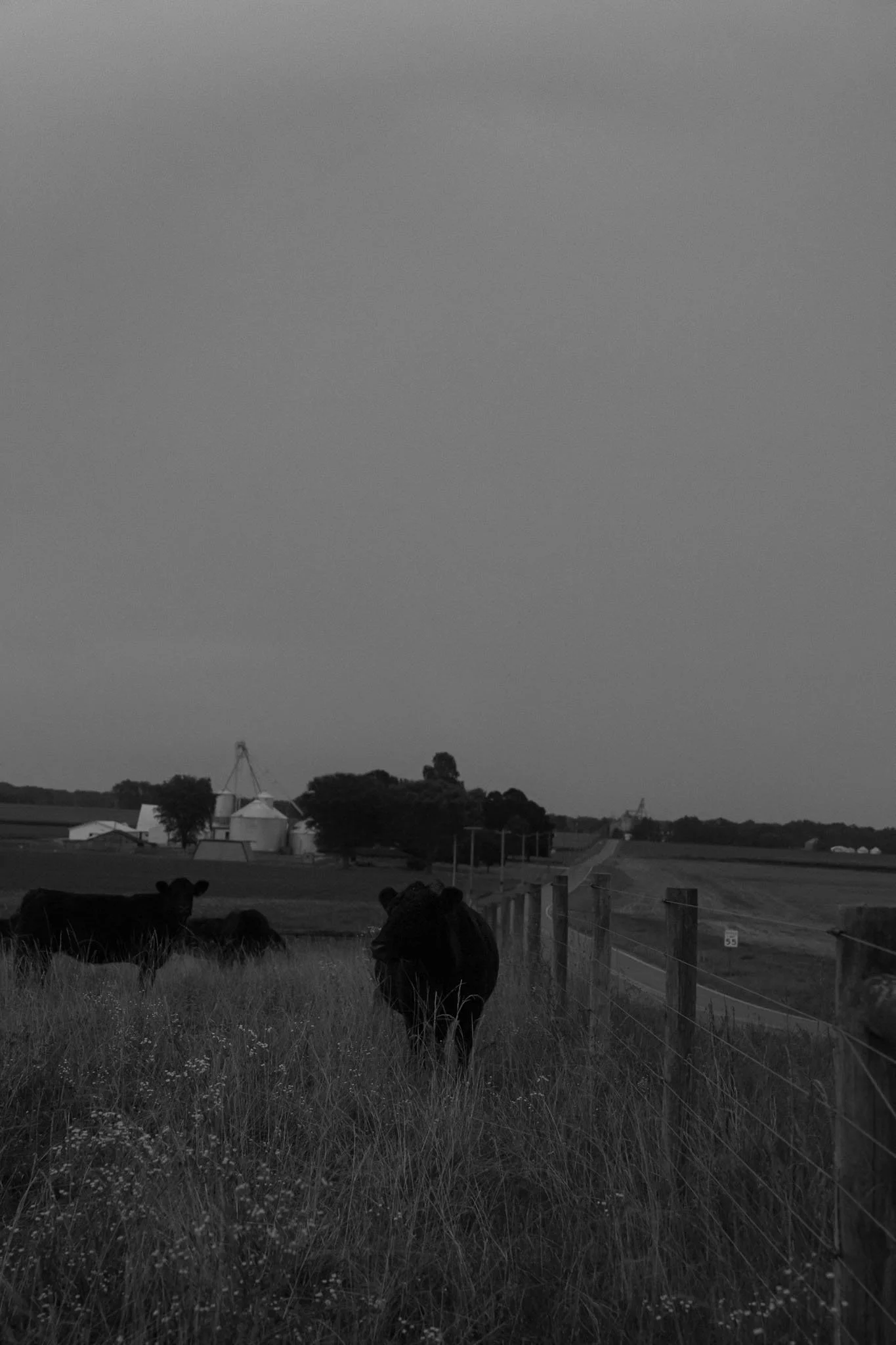 R5_04073.jpg