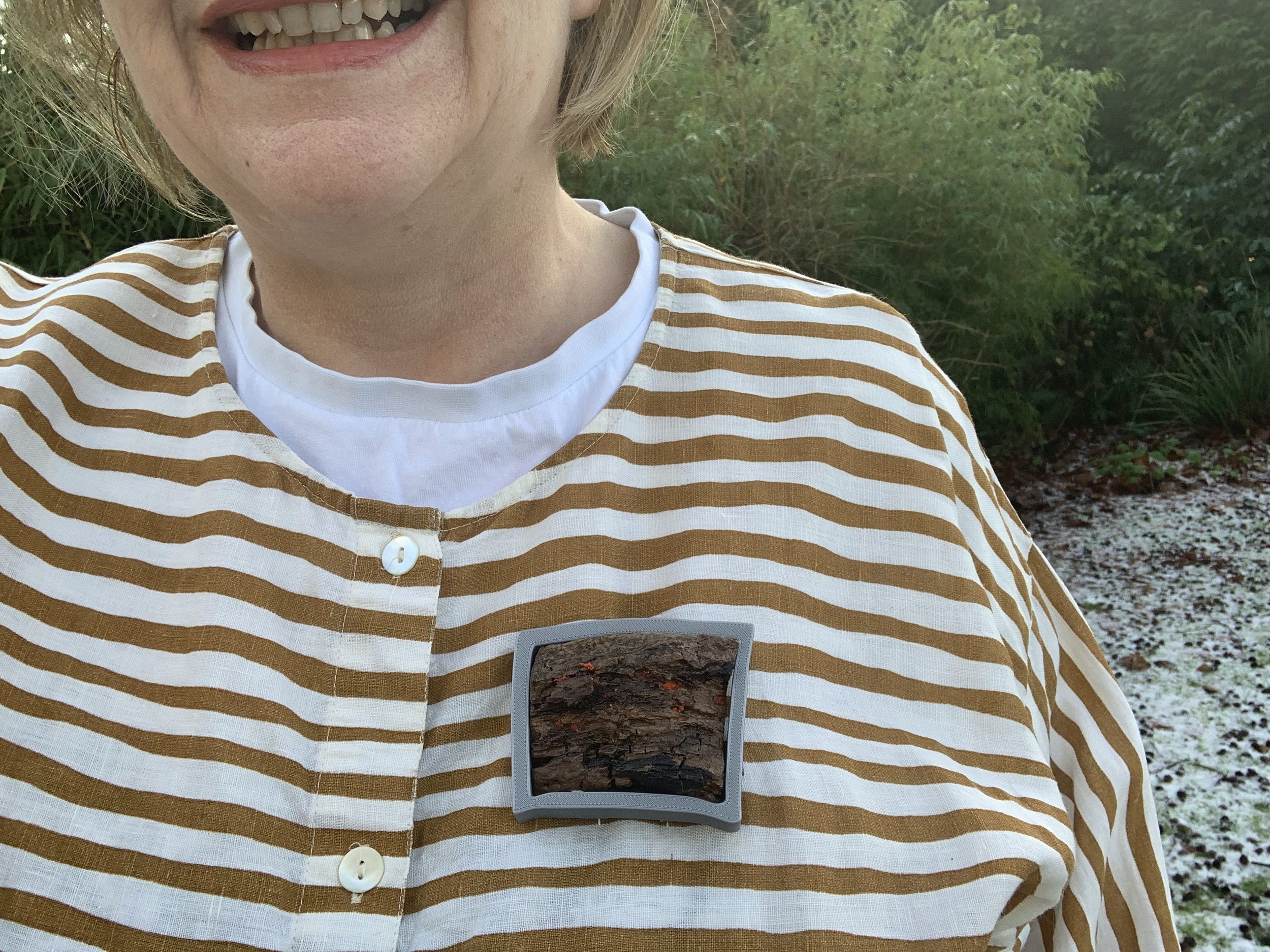 Phorme Blight Brooch En Plein Air.jpeg