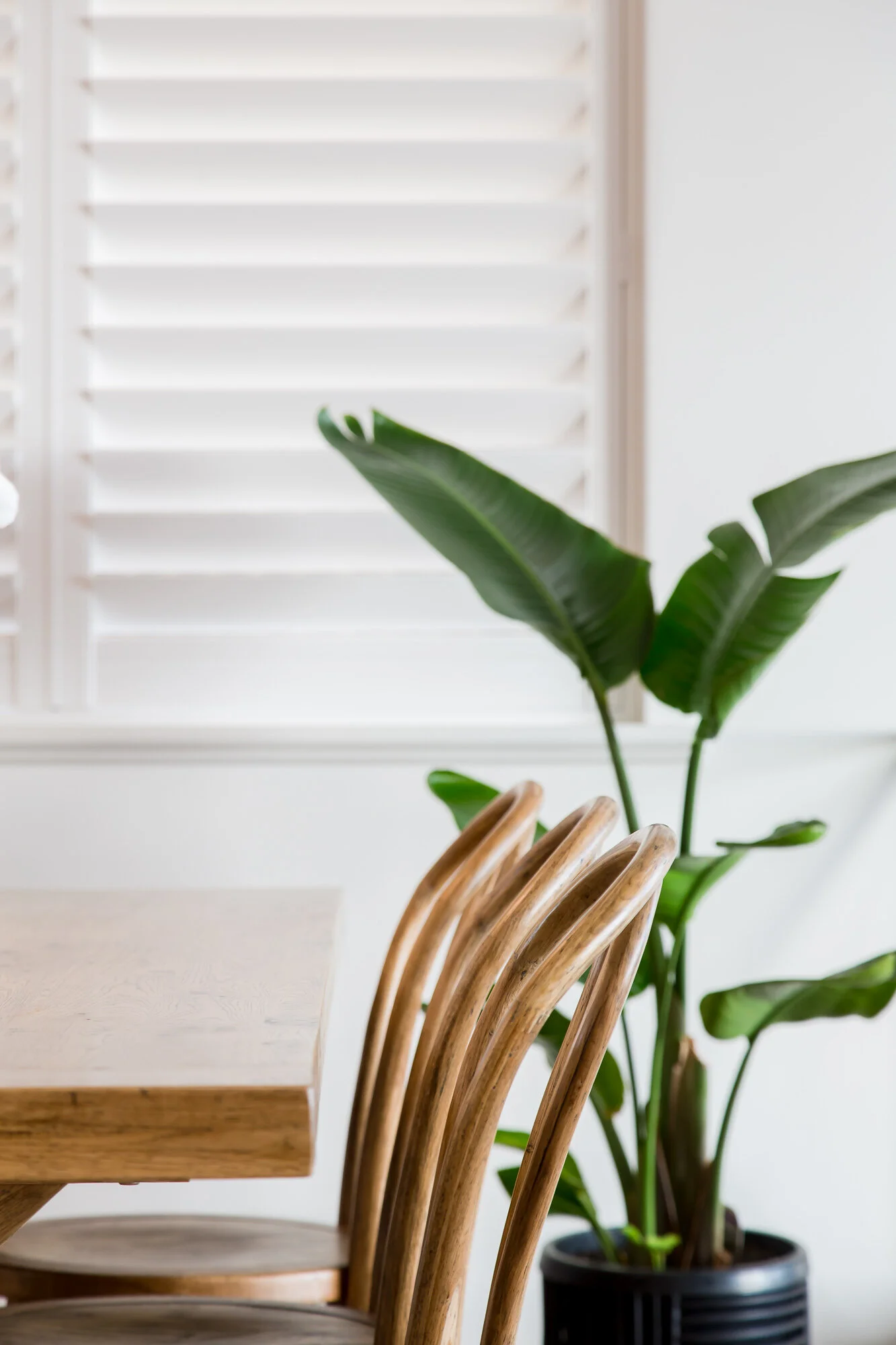 mk-grange-esplanade-3 5.JPG