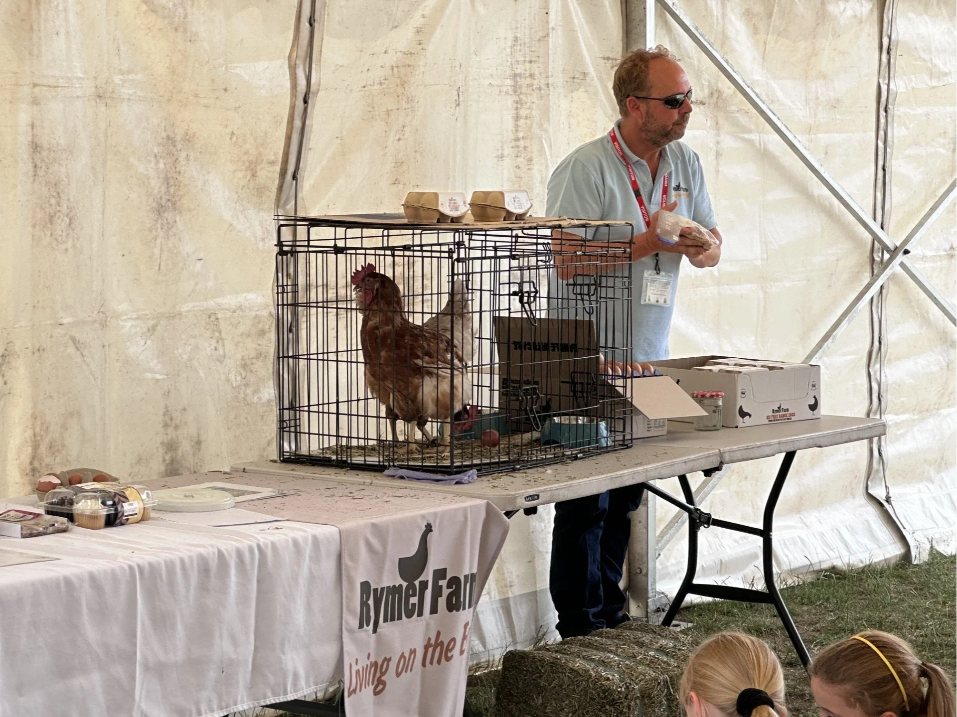 A Visit to Barnham CEVC Primary School – Learning Where Eggs Come From!