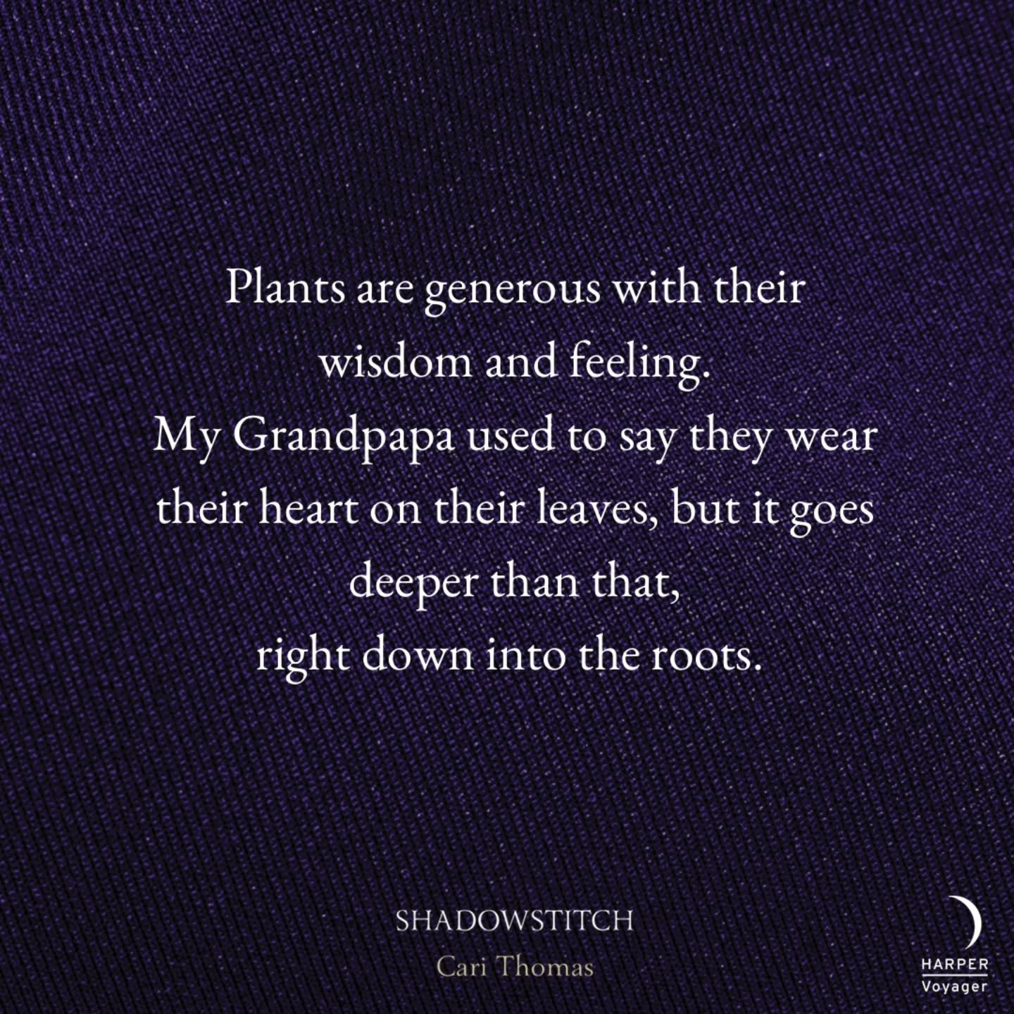 Just loving all the spring 🌸🏵🌷 right now.

.
.
.
#Shadowstitch #Threadneedle #plants #garden #spring #quotes #bookquotes #witchpower #quotesgram #bookmagic #bookstagram #harpervoyager #witchesofig #fantasyfiction #magic #urbanfantasy #witches #boo