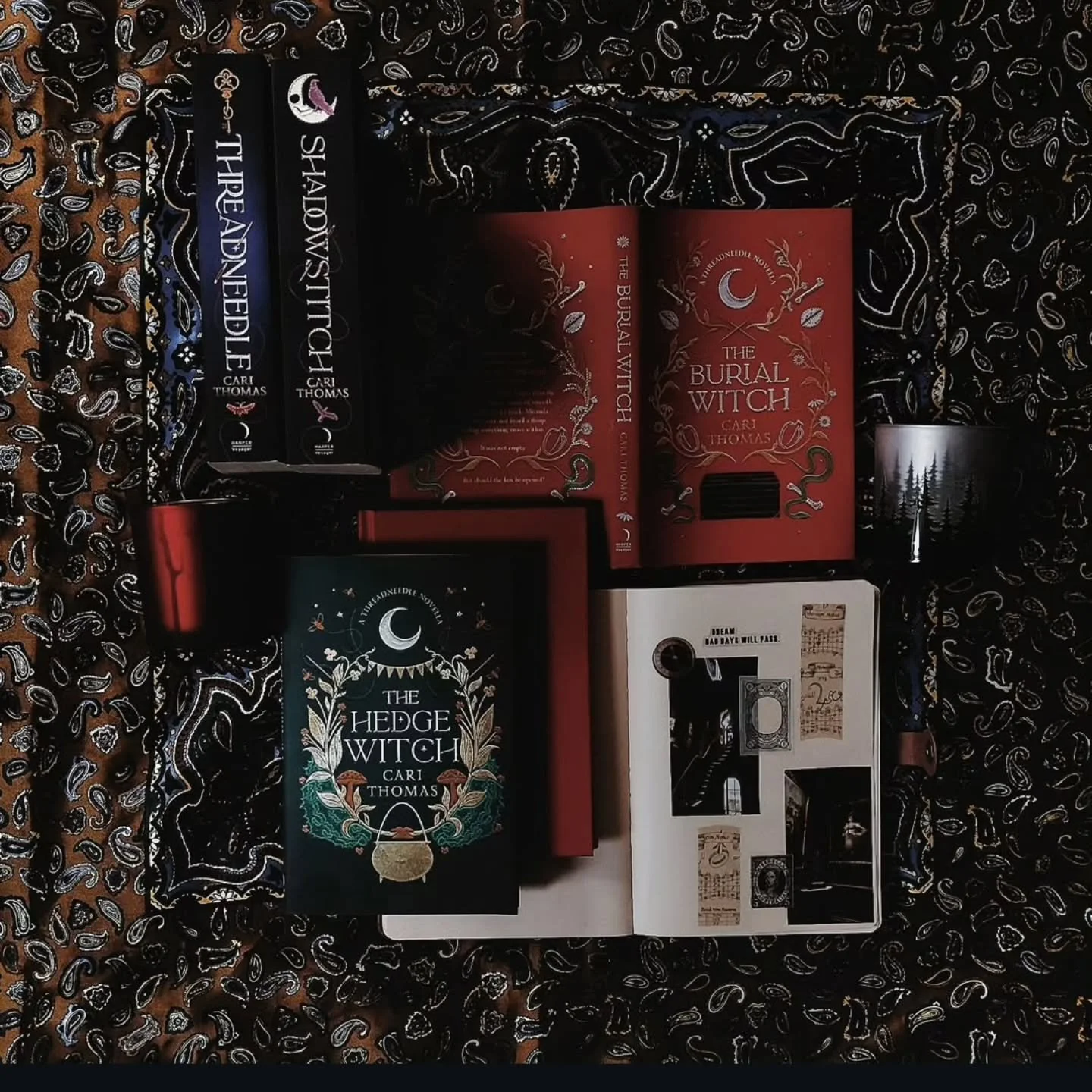 Happy Samhain Week 🎃 Are we all feeling the vibes?

Love this pic from @sarisbookstagram 🖤🖤🖤 The whole Language of Magic series so far, three to go!!!