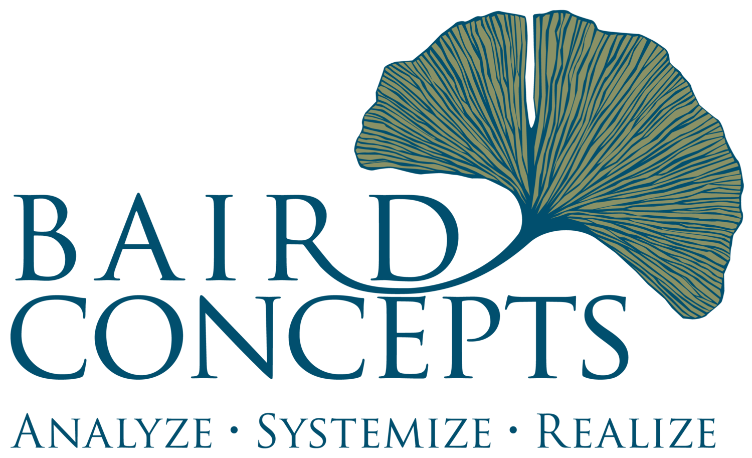 Baird Concepts
