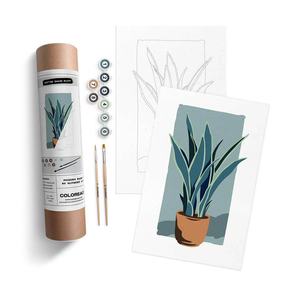 Potted Snake Plant Kit — Coloready