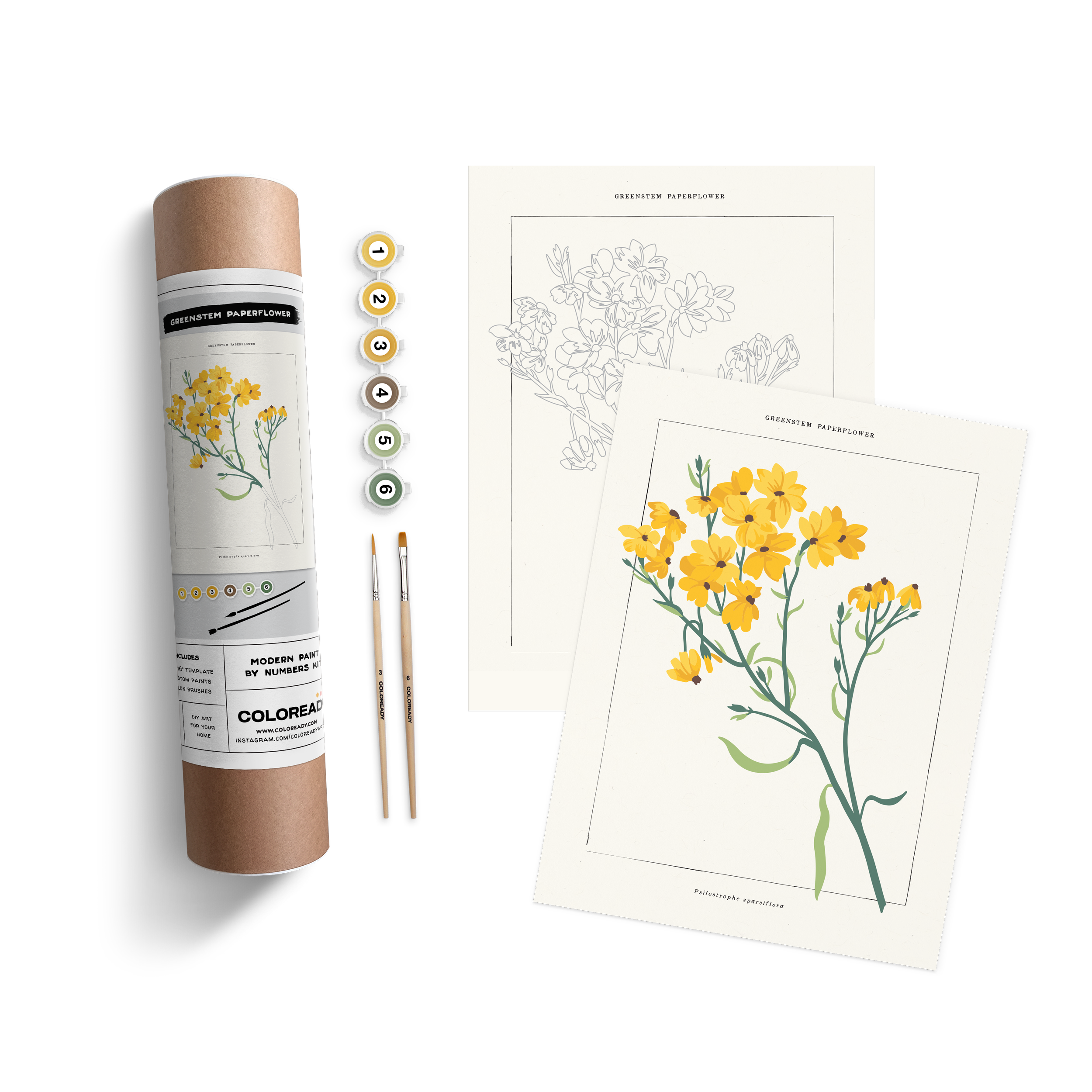 Greenstem-Paperflower-packaging.png