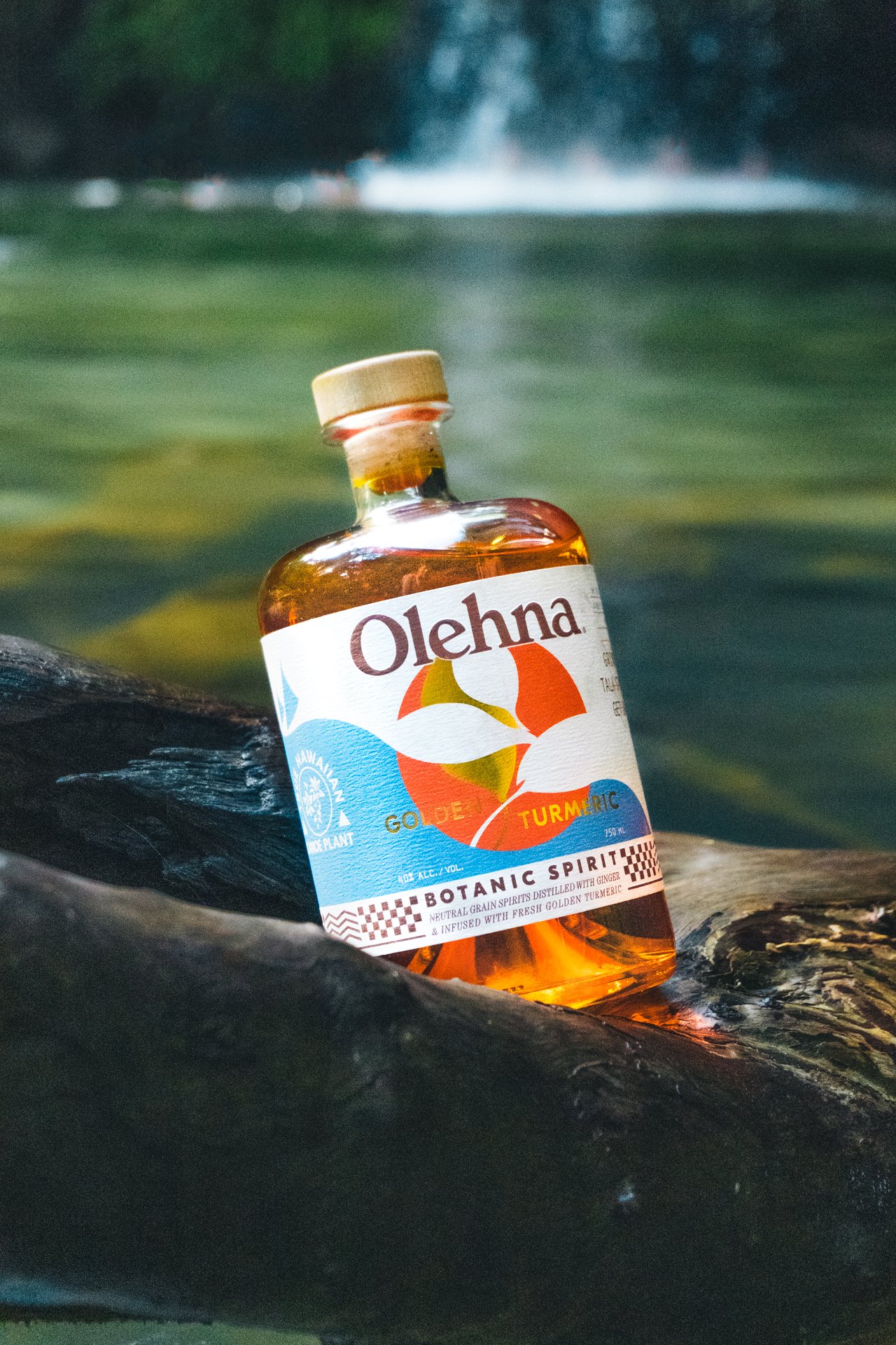 olehna-wf4.jpg