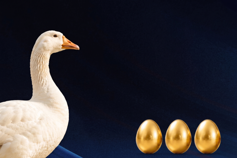 Een gans, met 3 gouden eieren.