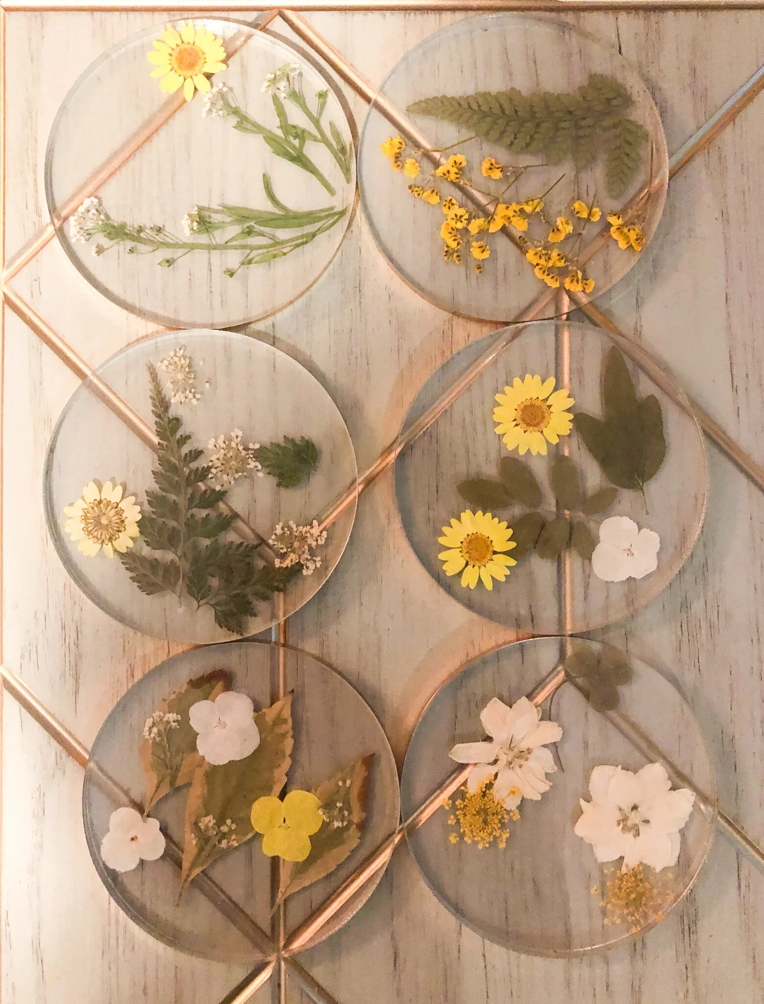 yellow and white flower acrylic coaster