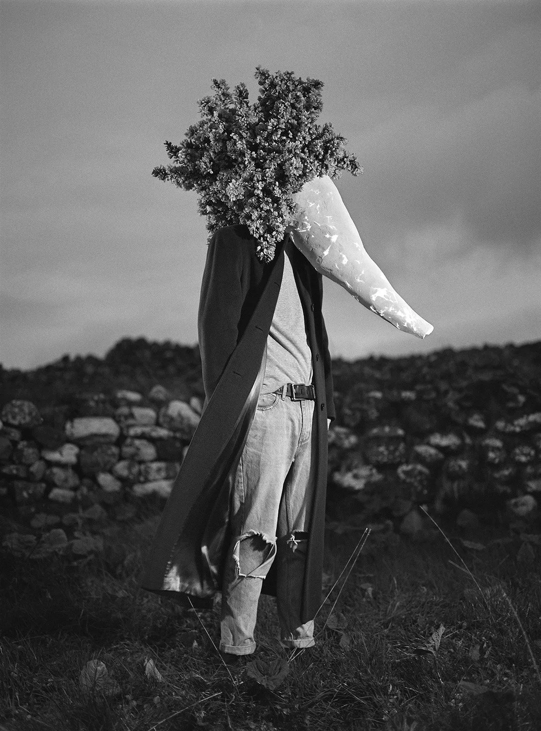 Light-Guardian_Danielle Macleod.jpg