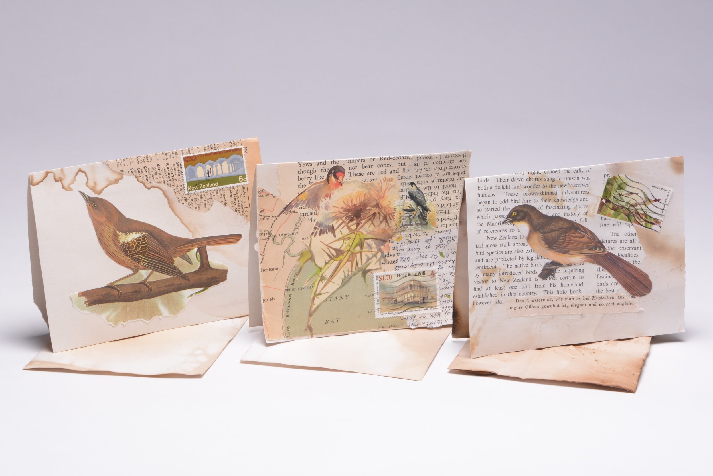 Bird and Botanical, 1.jpg