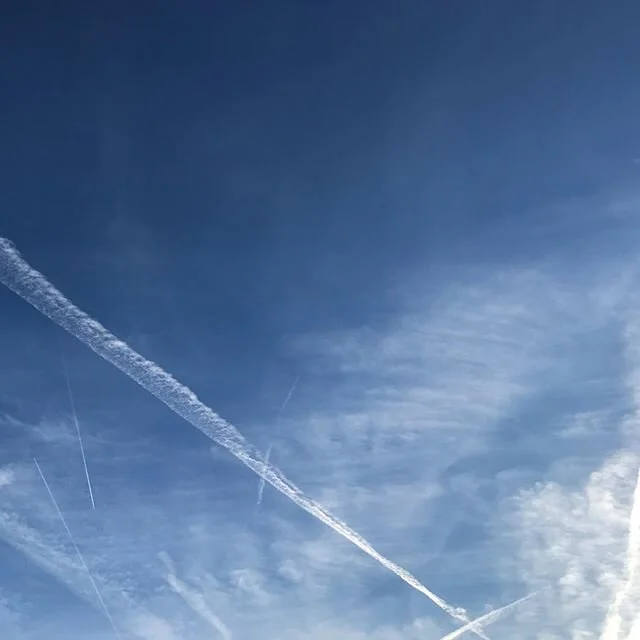 Day day day day day day day day tomorrow is a new day! 🌞 stay focused