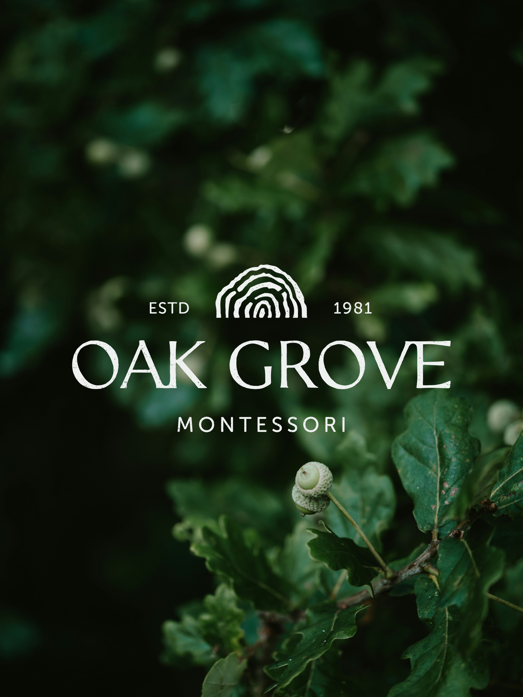 OAK GROVE BRANDING_DIGITAL_MLBURT-OAK-GROVE_MONTESSORI-BRAND-IDENTITY-HANDLETTERED-LOGO.png