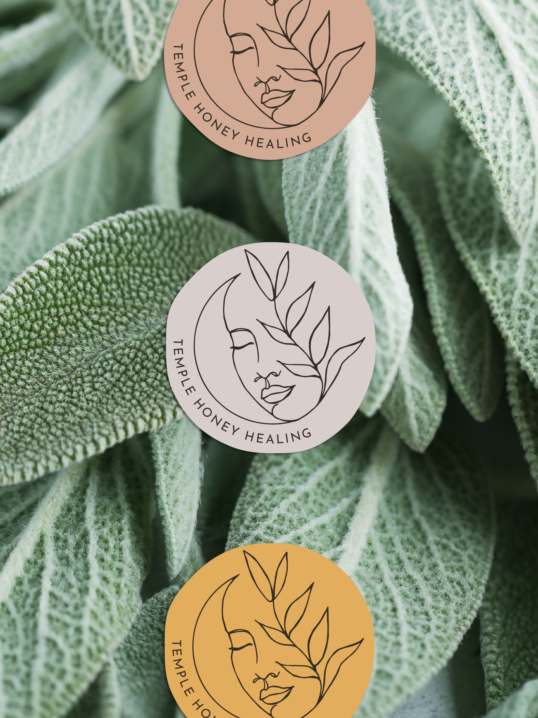 MLBURT-TEMPLE-HONEY-HEALING-BRAND-IDENTITY-LOGOMARKS.png