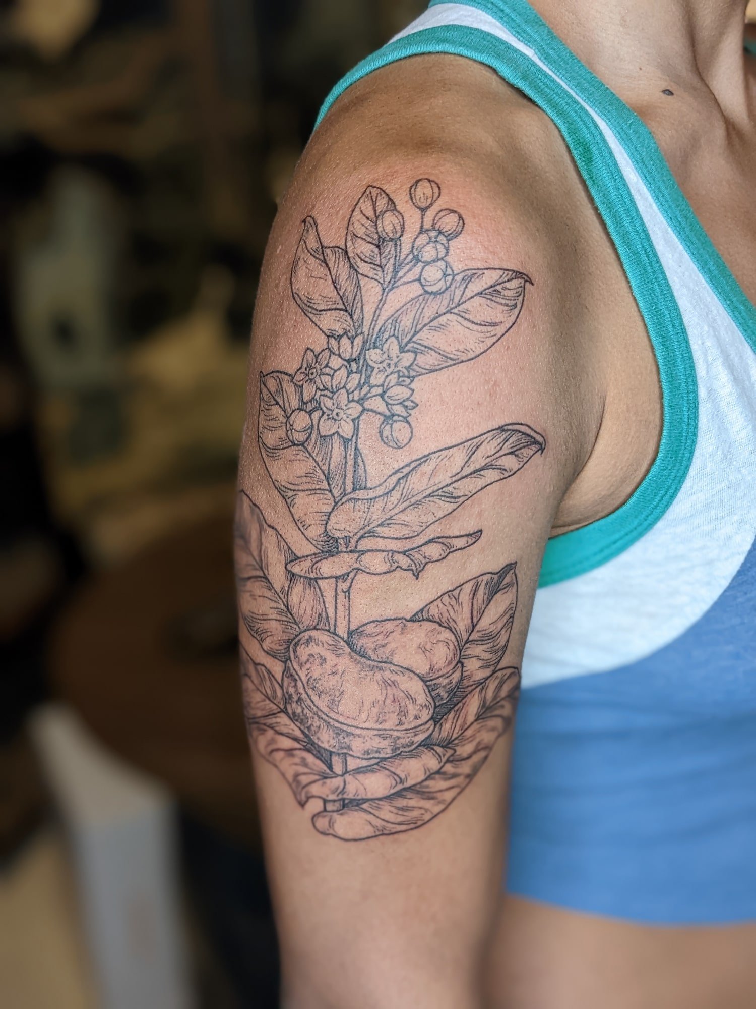 Jade plant tattoo - Tattoogrid.net
