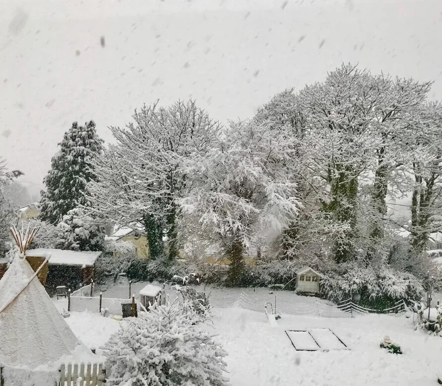 Snow-covered backyard with trees, a tipi, and garden beds