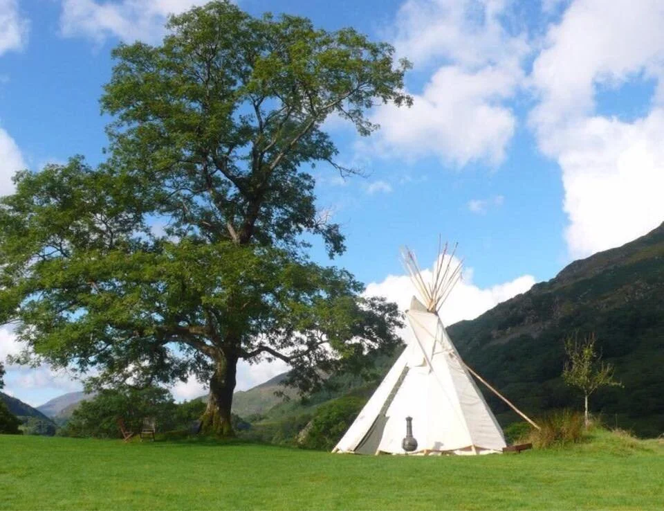 A white teepee tent set up on grass in a scenic outdoor landscape with a large leafy tree, mountains in the background, and a blue sky with clouds.