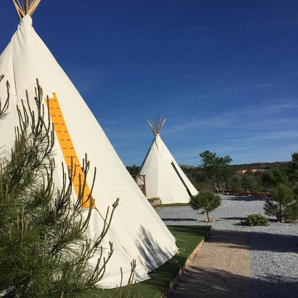 Two white traditional teepees set up outdoors on a sunny day, with trees and a gravel pathway in the background.