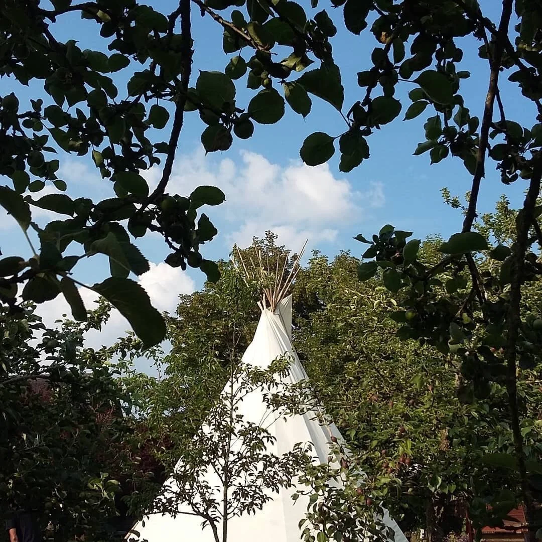 A view of a white tipi tent surrounded by green trees, with a clear blue sky and some white clouds visible above.