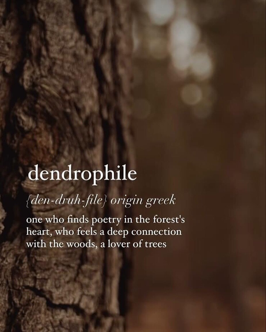 This was shared by someone dear to us, and it made us smile! Here&rsquo;s to all fellow dendrophiles #dendrophile #loveroftrees #intothewild #mytipi #tipi #siouxstyle #glamping