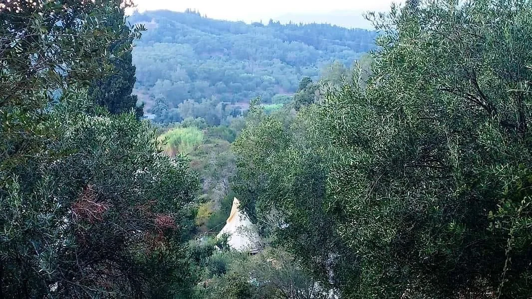 What a lovely view down to their tipi this client of ours has, they&rsquo;ve had tipis of ours for years and shared this photo with us today, it&rsquo;s always lovely to see them in their homes being loved 🥰

#mytipi #tipi #yogaretreat #glampinglife