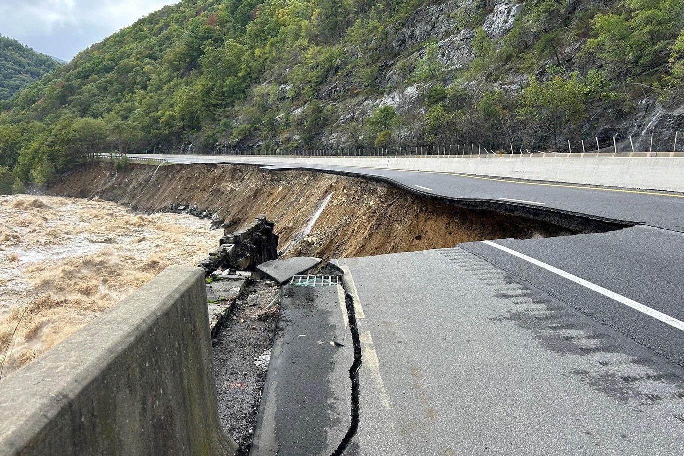 We are sending all our love to those affected by the destruction caused by Helene, the effects of which are reaching far and wide and have changed the path of life for so many people. 

We have found a few resources for supporting the greater recover