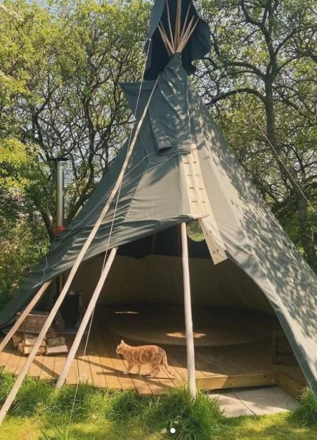 Large canvas tipi tent outdoors in a wooded area with a cat standing on the wooden platform in front of it.