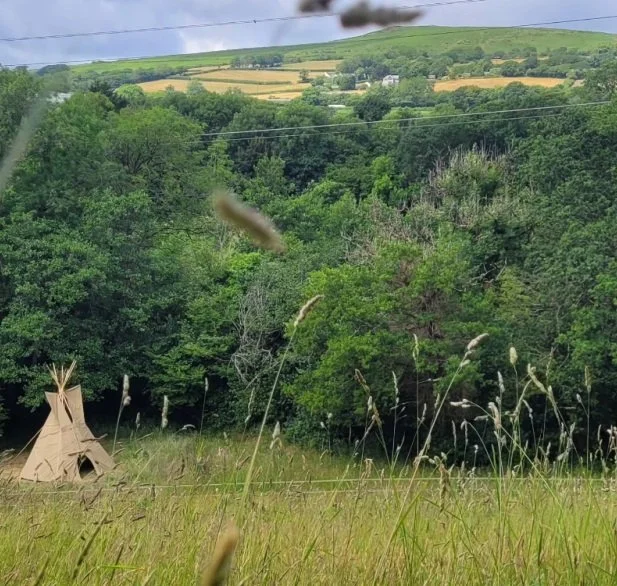 A picturesque landscape of a grassy field with a small tent, lush green trees, and rolling hills in the distance under a partly cloudy sky.