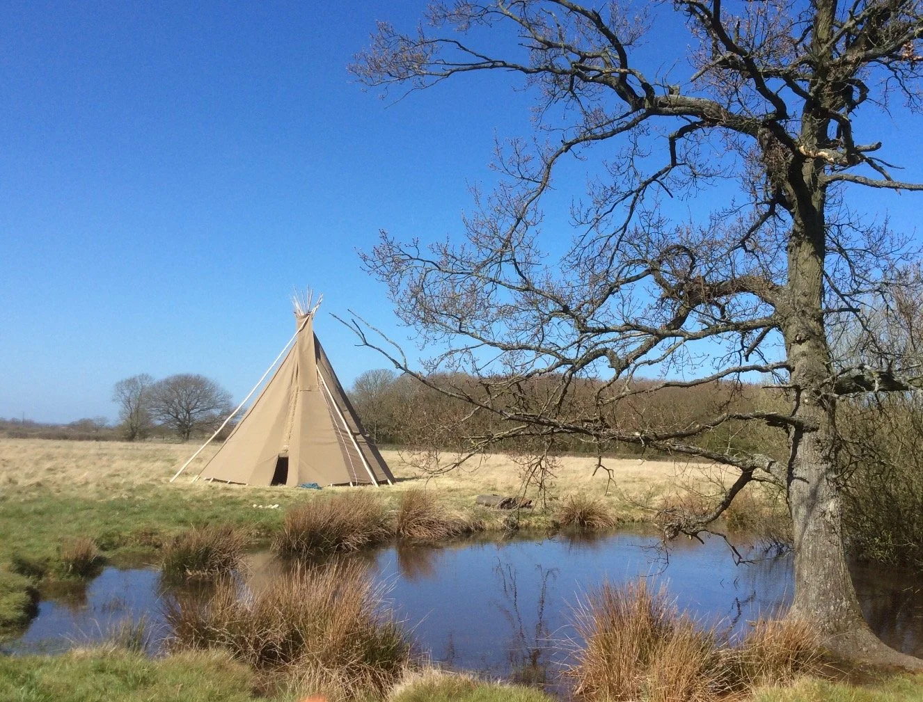 tan tipi.jpg