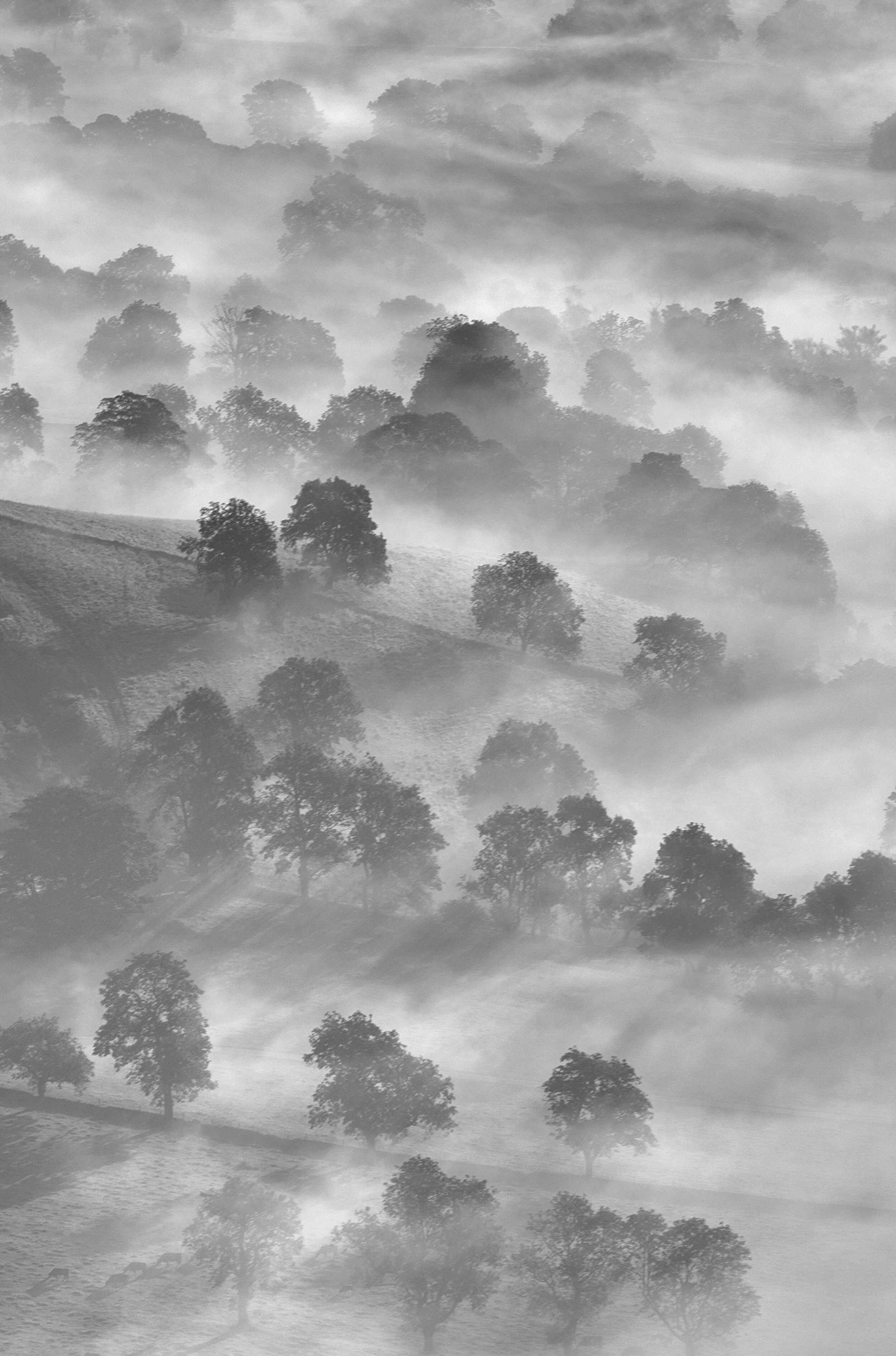 Mam Tor, Peak District UK