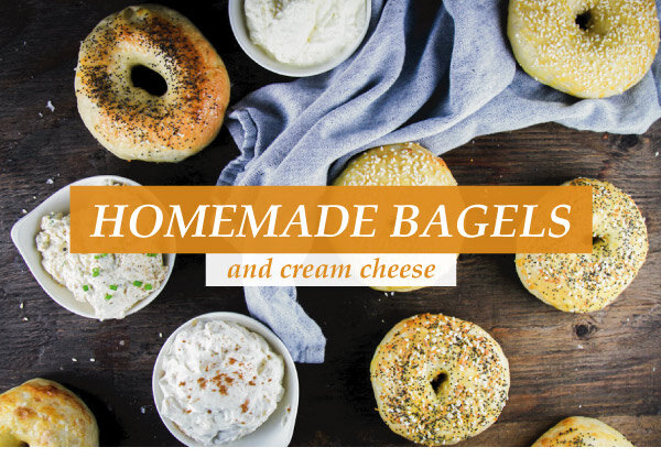 Enjoy Bagels and Cream Cheese at a New Level!
