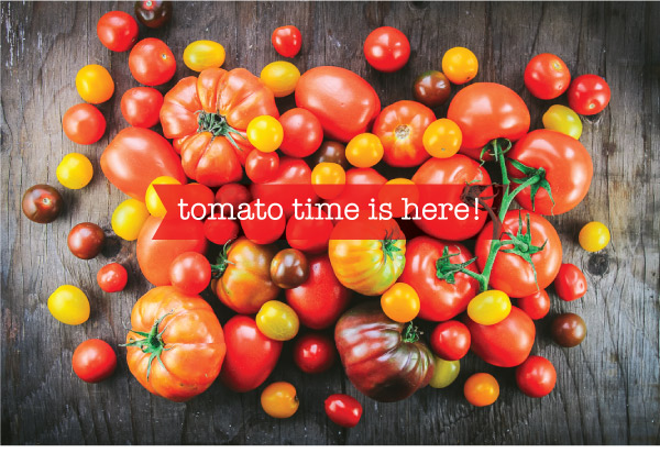 It’s Tomato Time - 3 Delicious Ways to Enjoy!